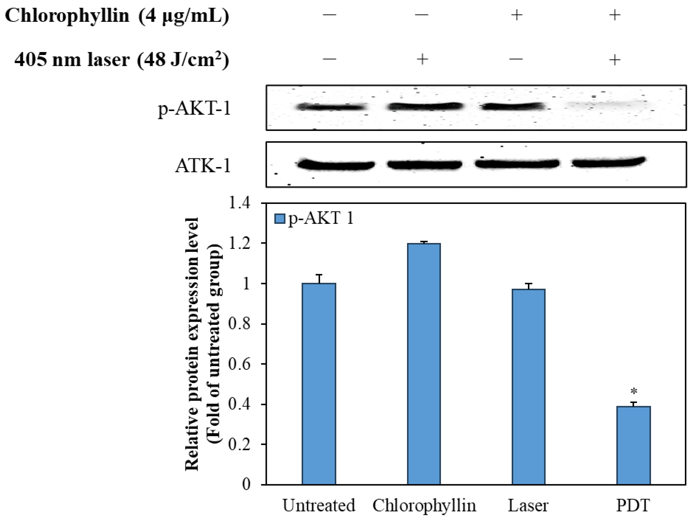 Ijms 24 11565 g008 Ijms 24 11565 g008