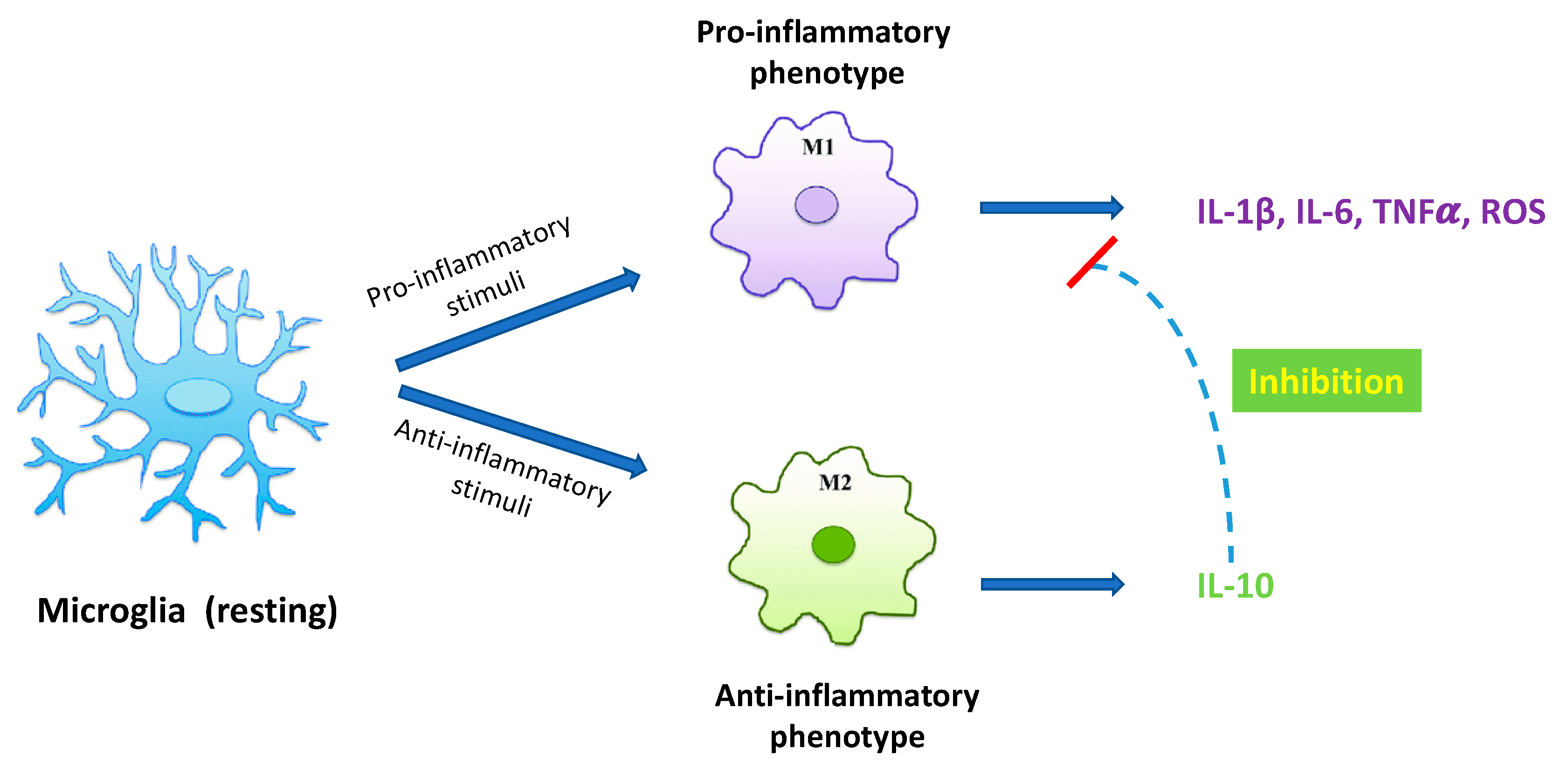 Ijms 24 11569 g001 Ijms 24 11569 g001