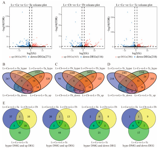 S4 4セット Integrated Analysis of DNA Methylome and Transcriptome