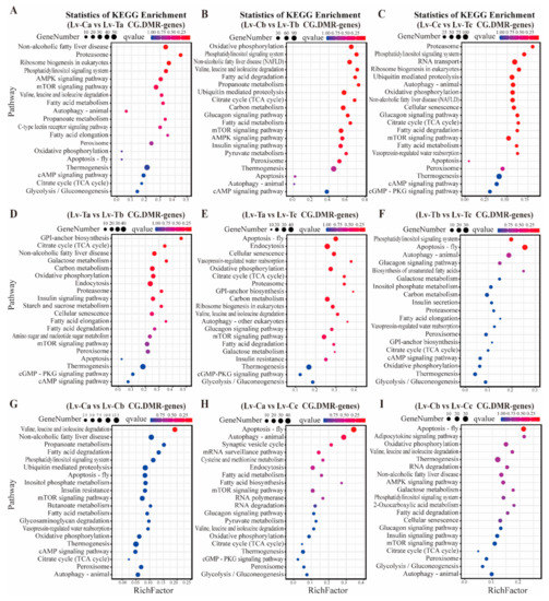 Integrated Analysis of DNA Methylome and Transcriptome Reveals ...