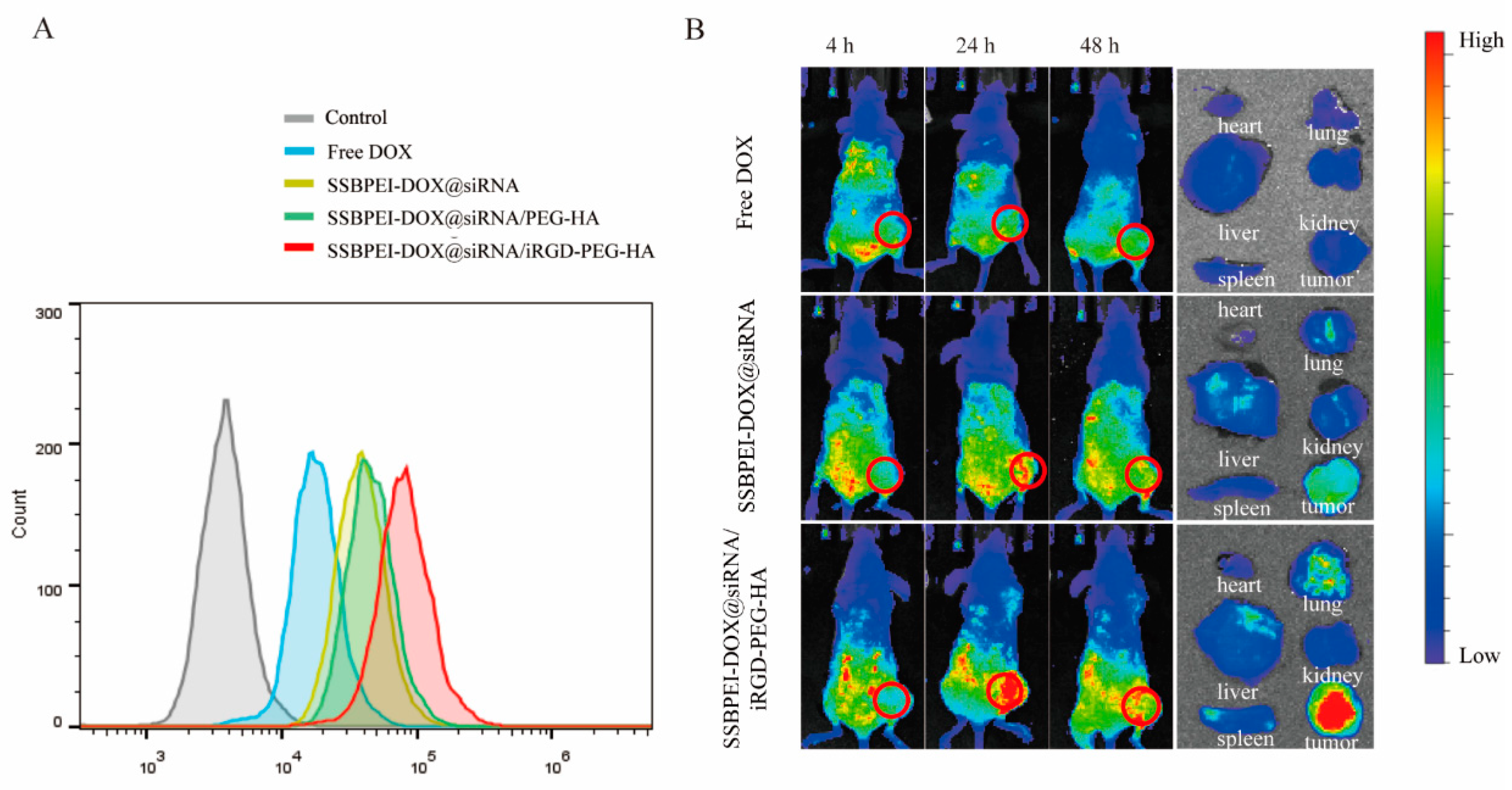Ijms 24 11575 g003 Ijms 24 11575 g003