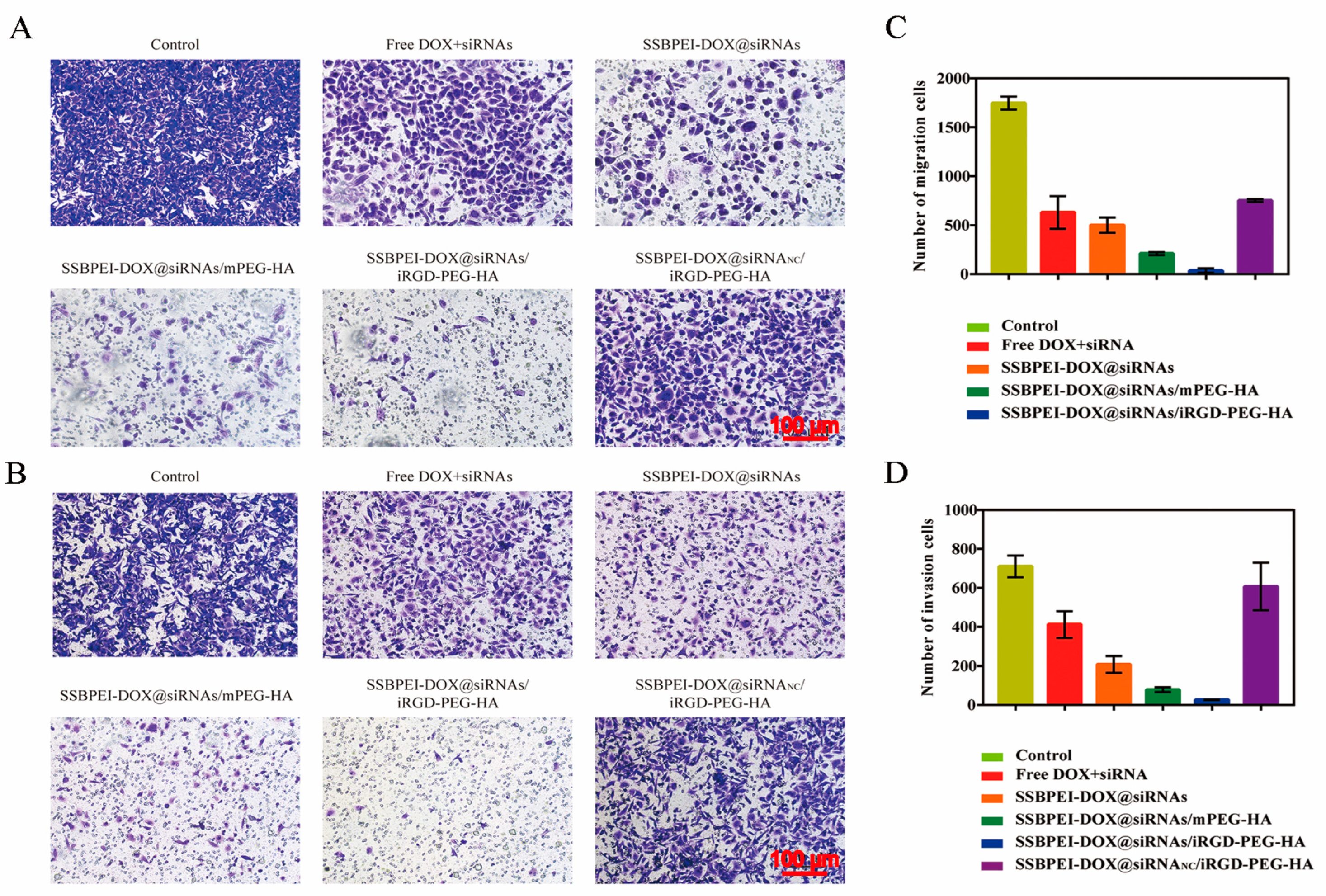 Ijms 24 11575 g006 Ijms 24 11575 g006