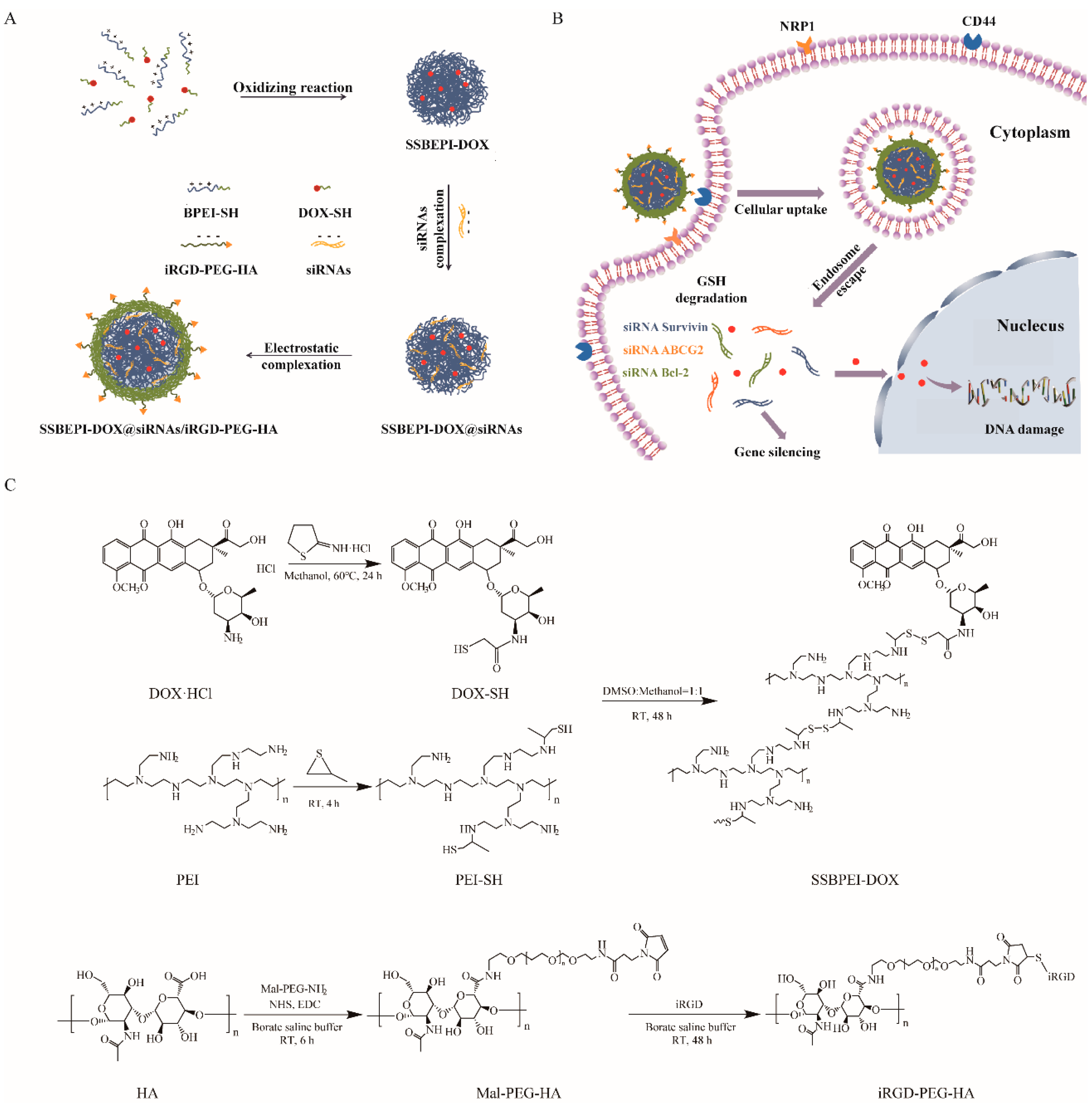 Ijms 24 11575 sch001 Ijms 24 11575 sch001