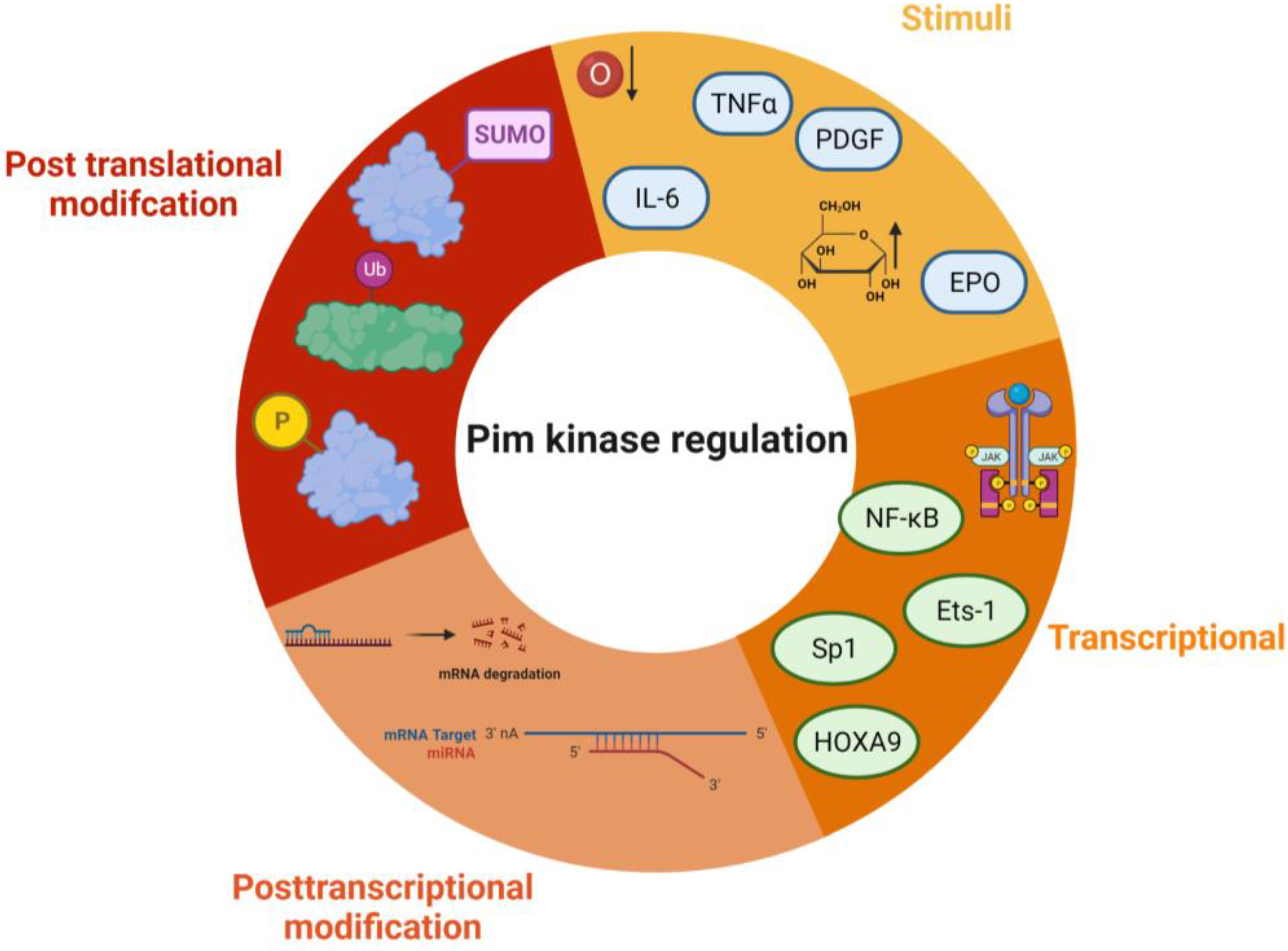Ijms 24 11582 g004 Ijms 24 11582 g004