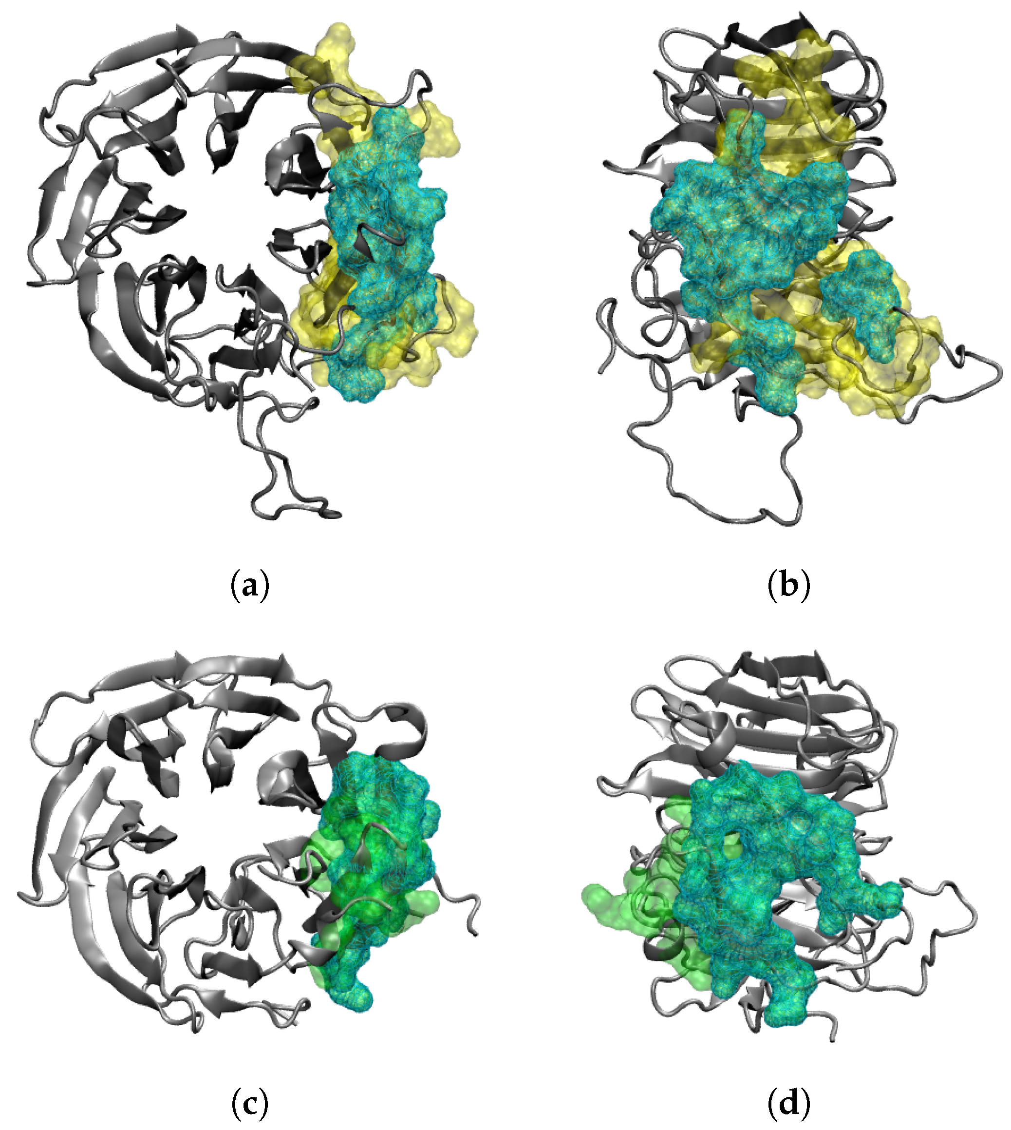 Ijms 24 11589 g003 Ijms 24 11589 g003