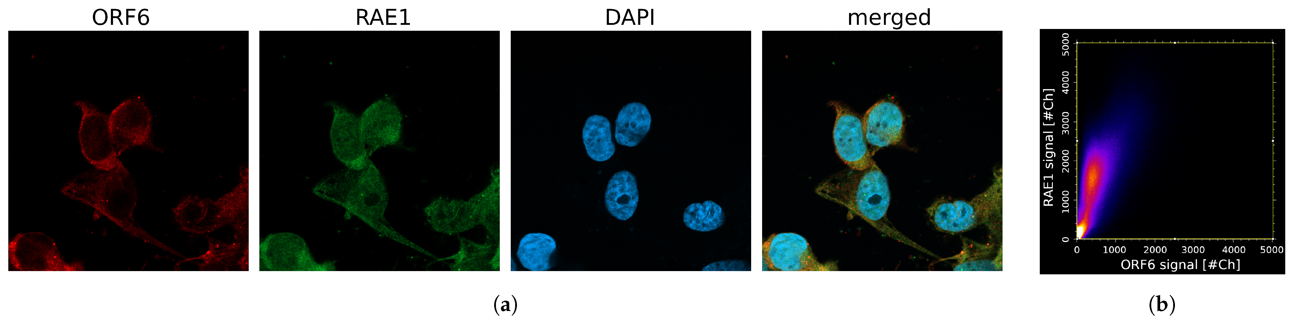 Ijms 24 11589 g005 Ijms 24 11589 g005