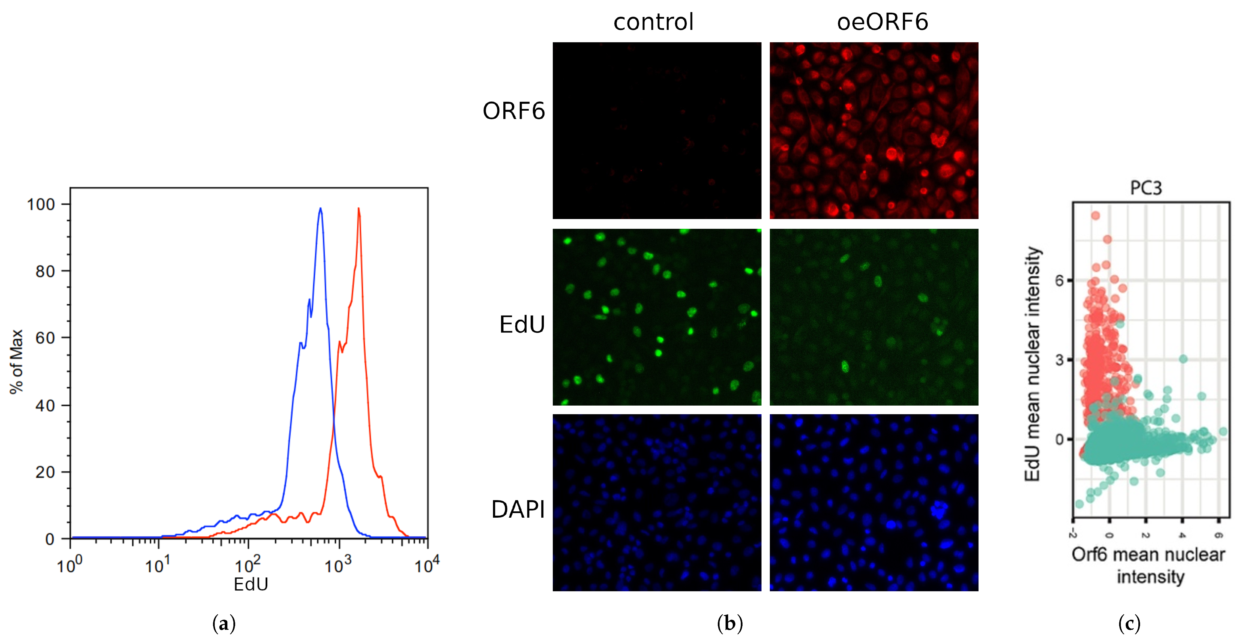 Ijms 24 11589 g007a Ijms 24 11589 g007a