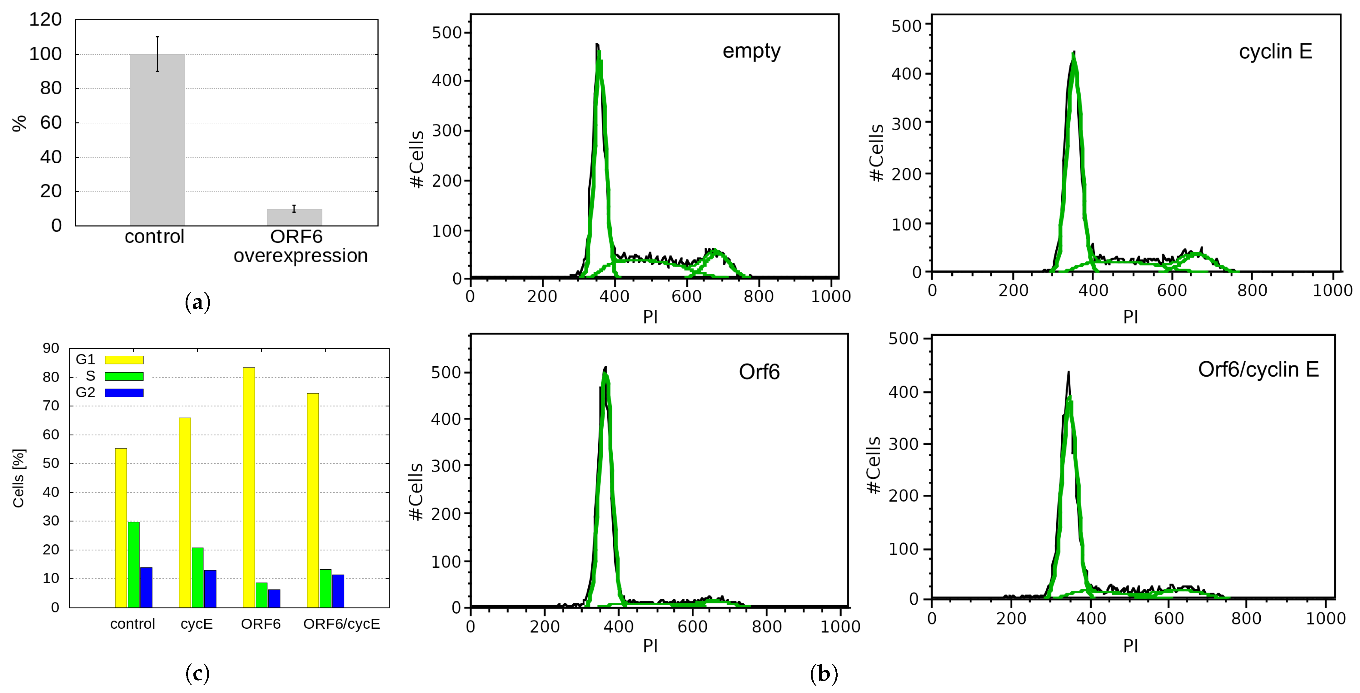 Ijms 24 11589 g008 Ijms 24 11589 g008