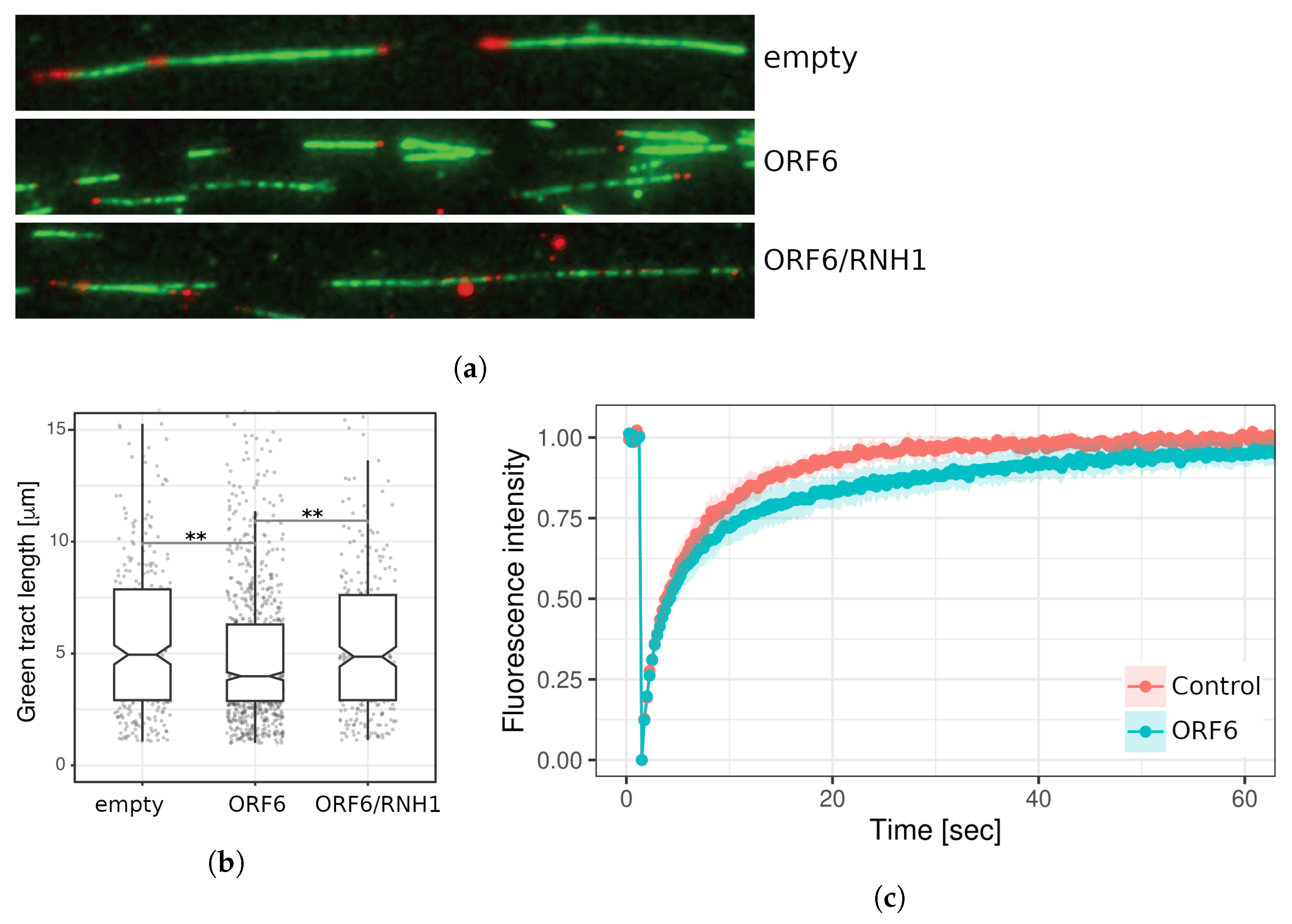Ijms 24 11589 g009 Ijms 24 11589 g009