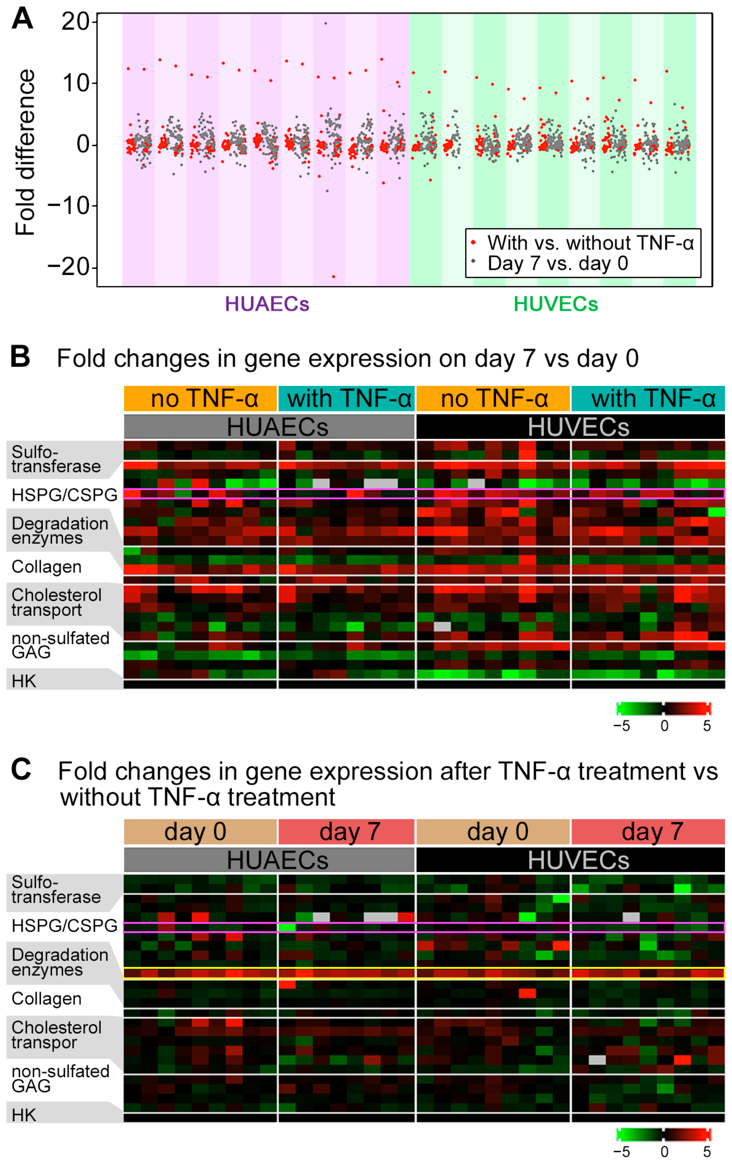 Ijms 24 11595 g002 Ijms 24 11595 g002
