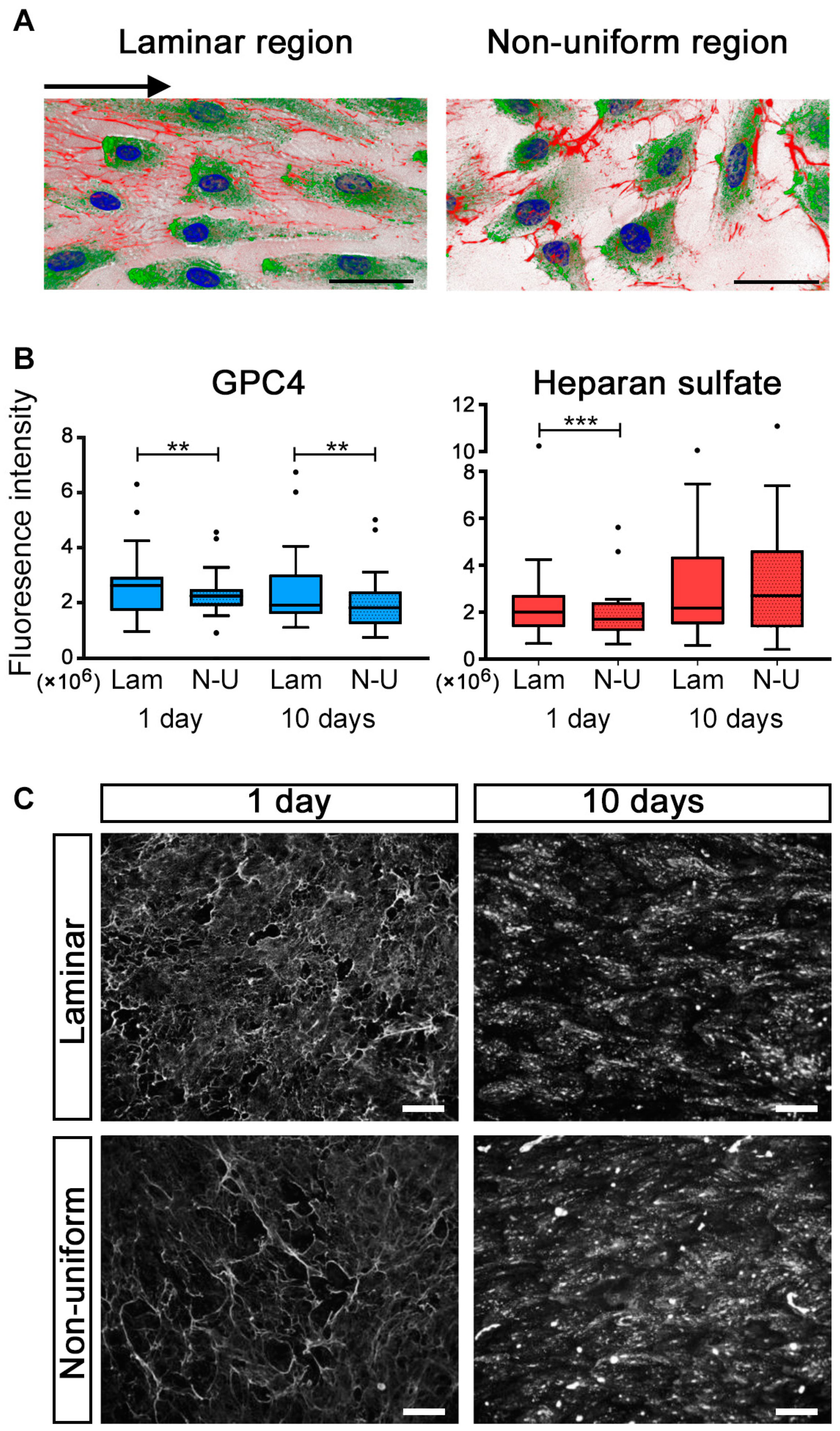Ijms 24 11595 g003 Ijms 24 11595 g003