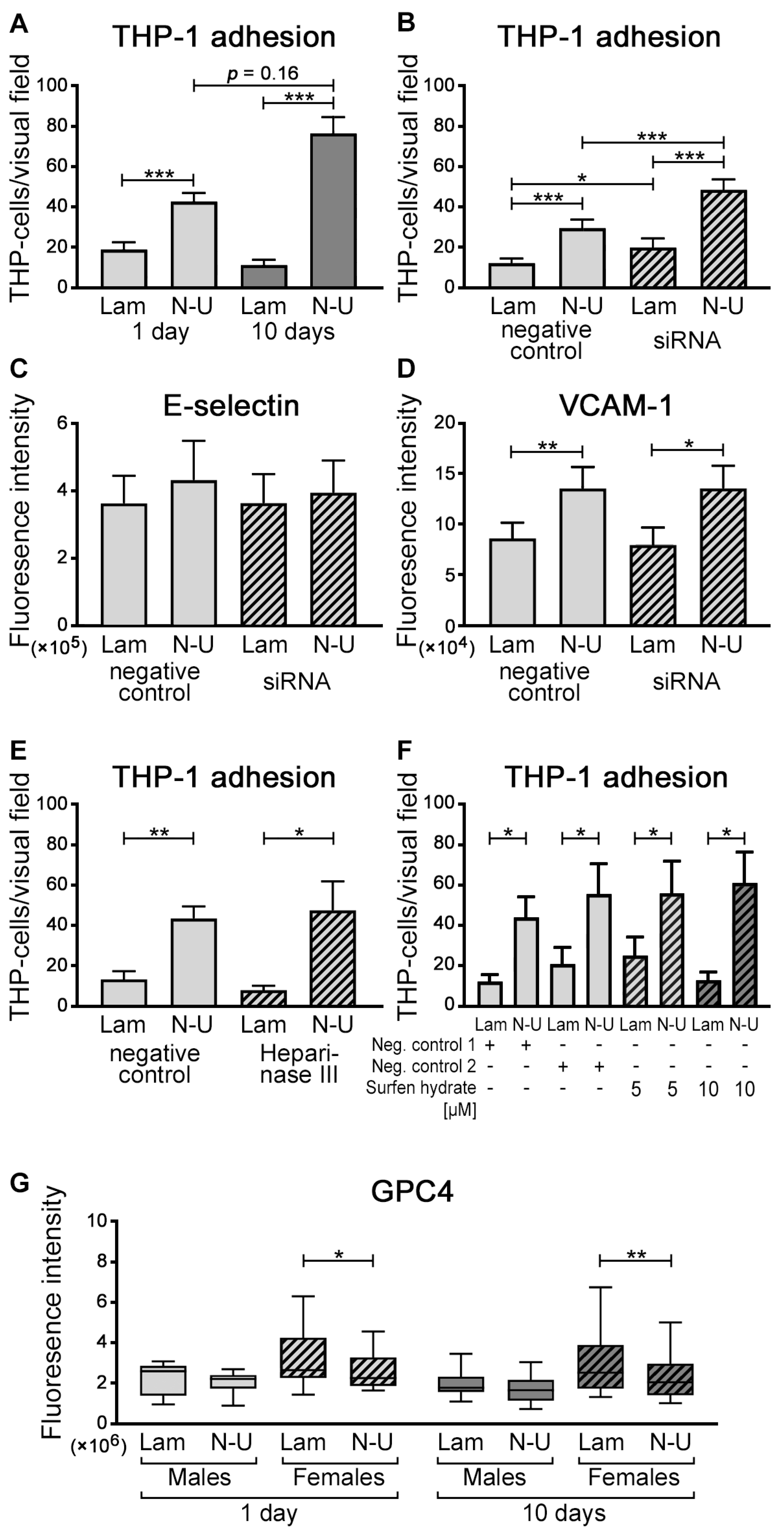 Ijms 24 11595 g004 Ijms 24 11595 g004