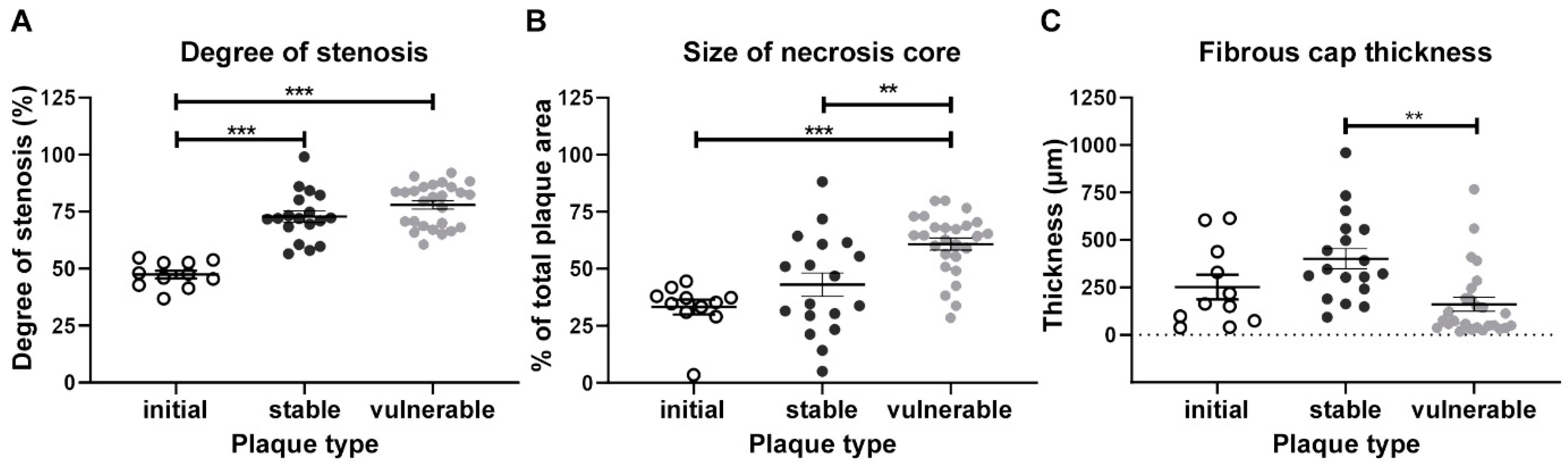 Ijms 24 11595 g005 Ijms 24 11595 g005