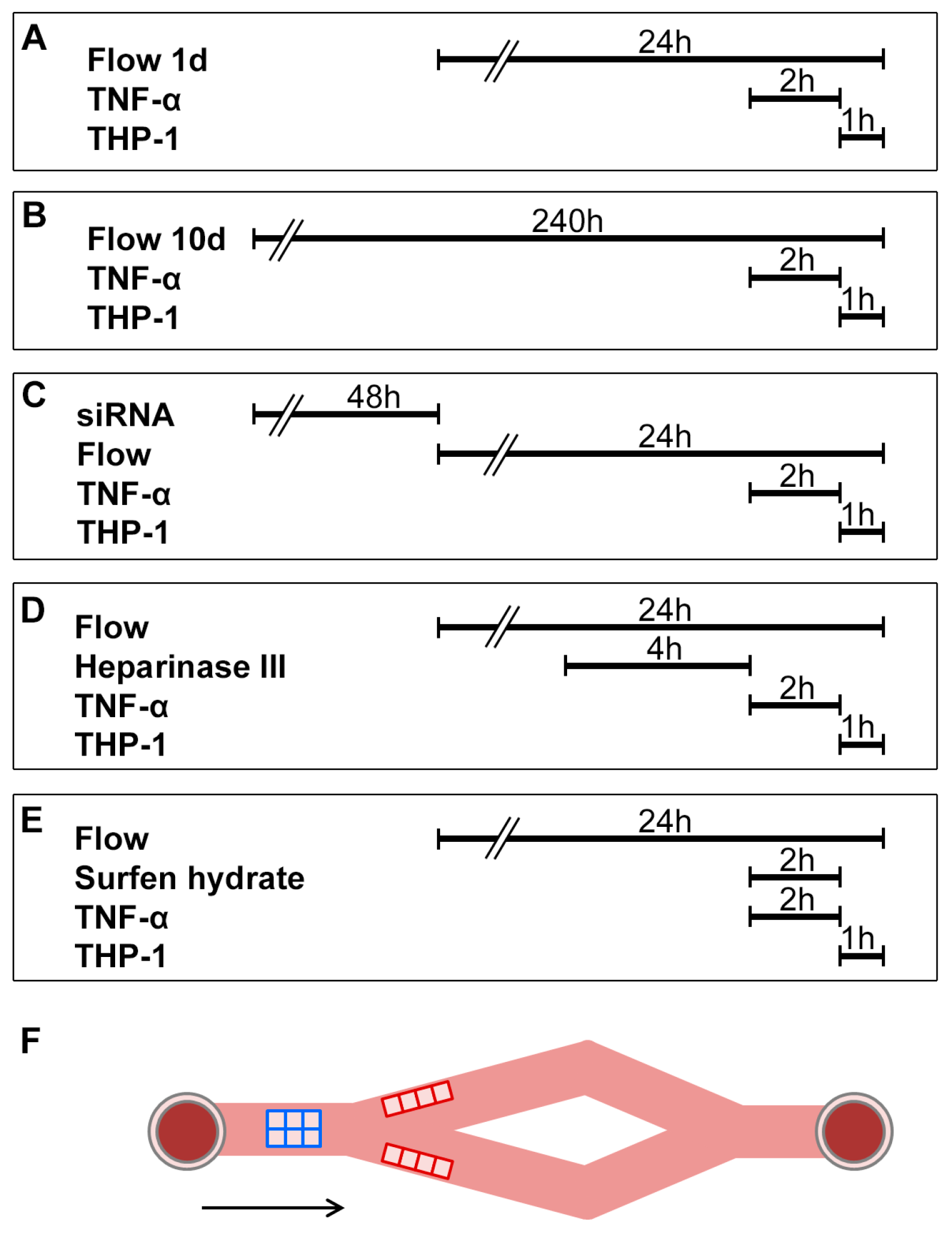 Ijms 24 11595 g010 Ijms 24 11595 g010