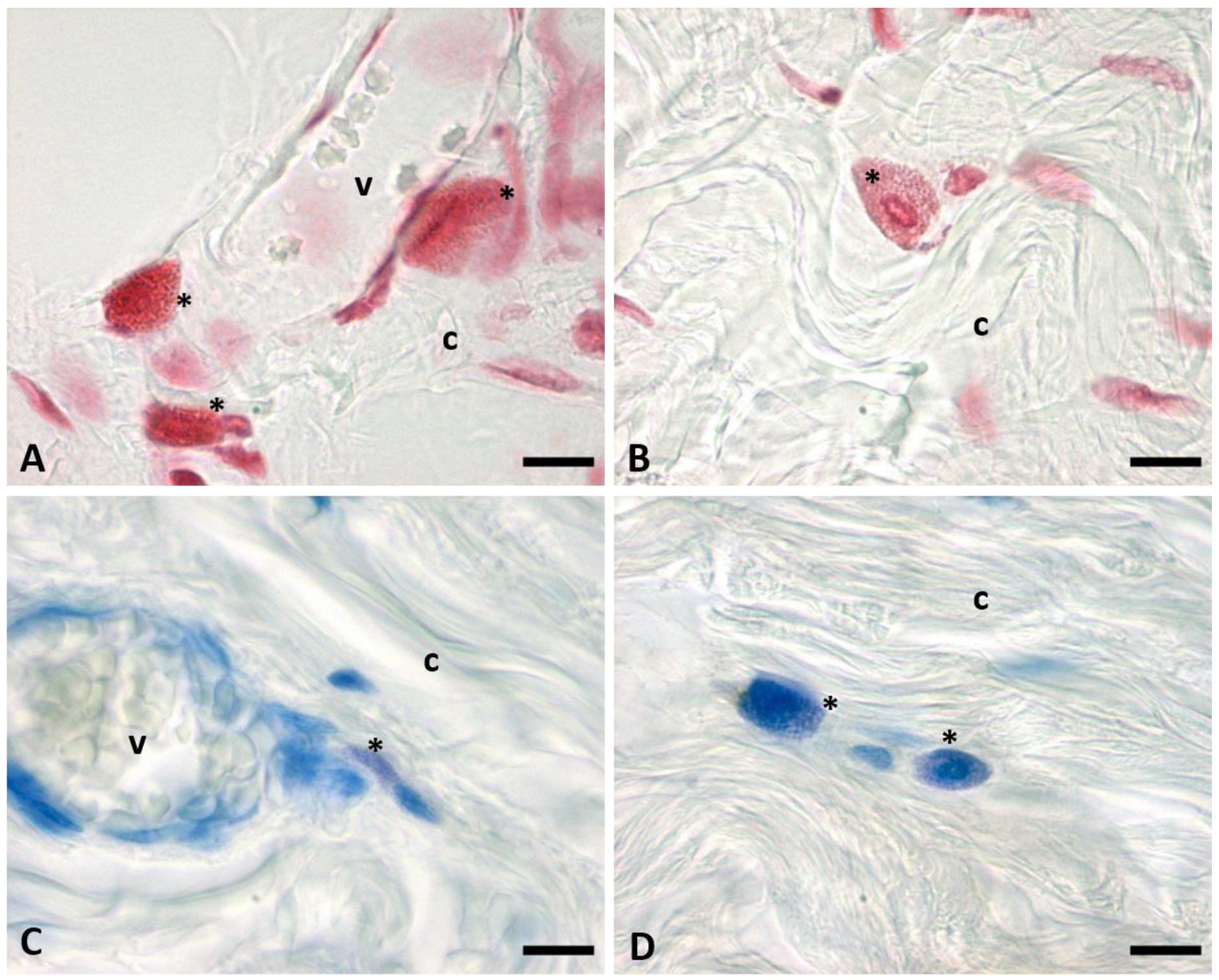 Ijms 24 11599 g004 Ijms 24 11599 g004