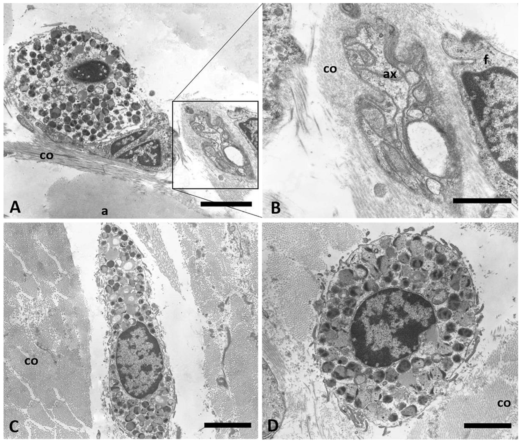 Ijms 24 11599 g006 Ijms 24 11599 g006