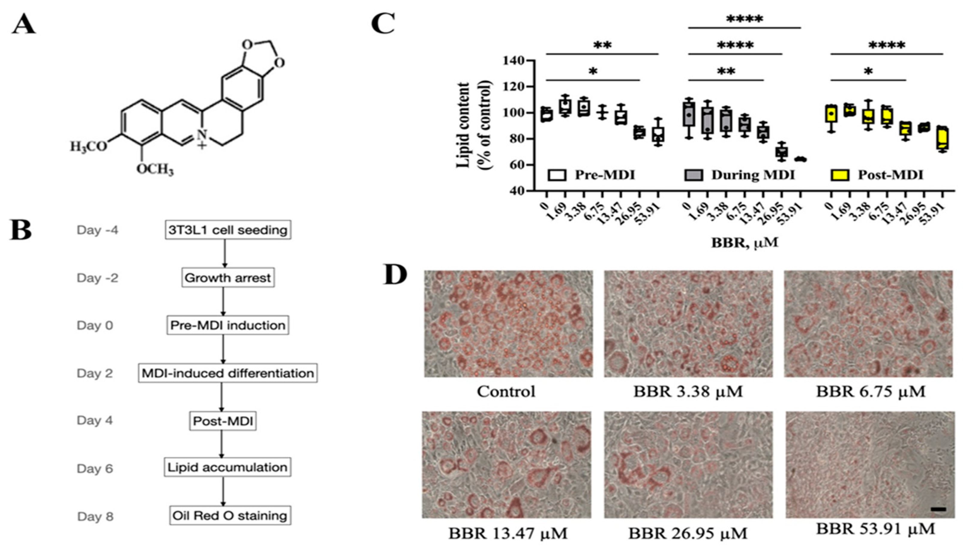 Ijms 24 11600 g001 Ijms 24 11600 g001