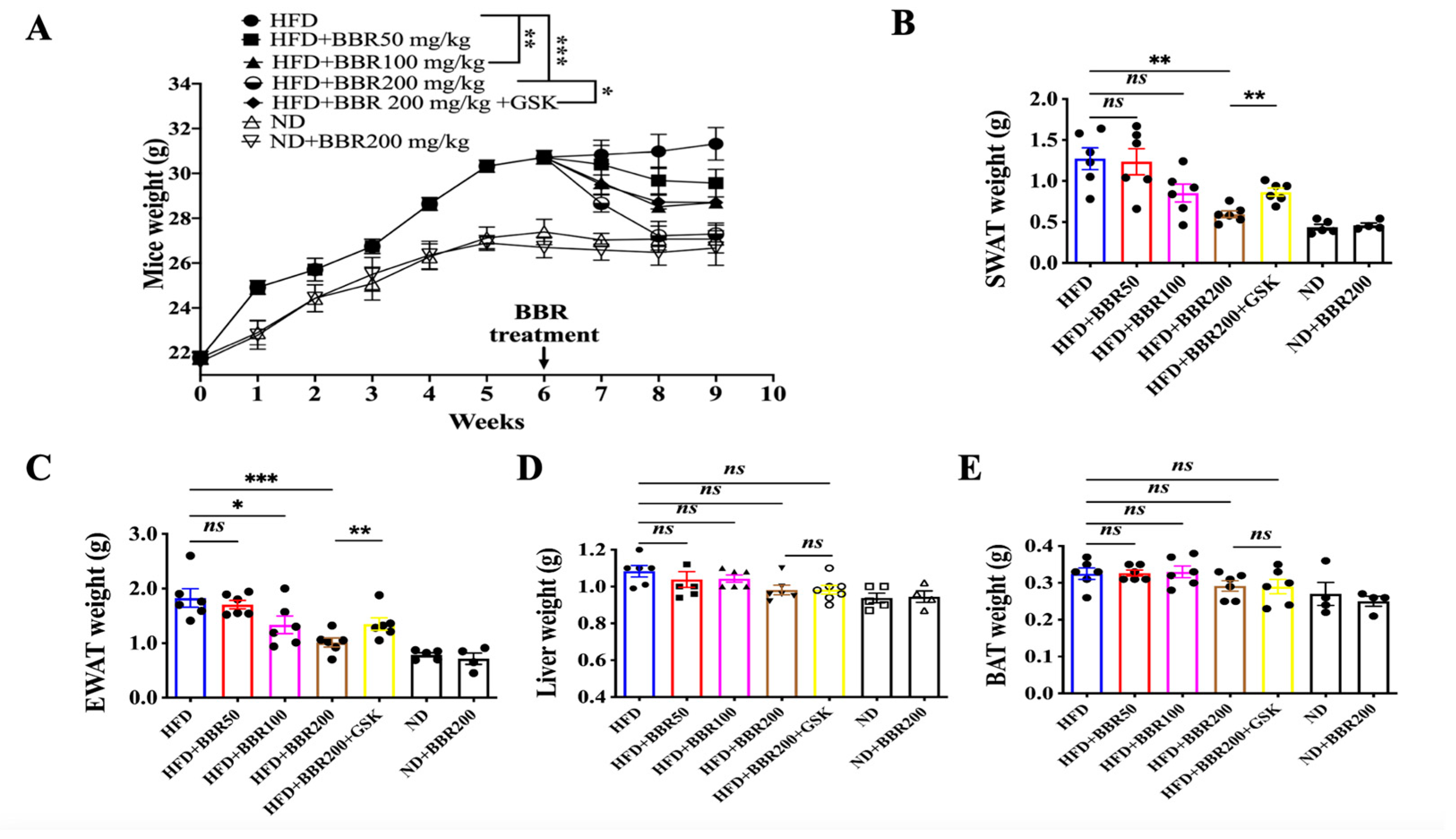 Ijms 24 11600 g003 Ijms 24 11600 g003