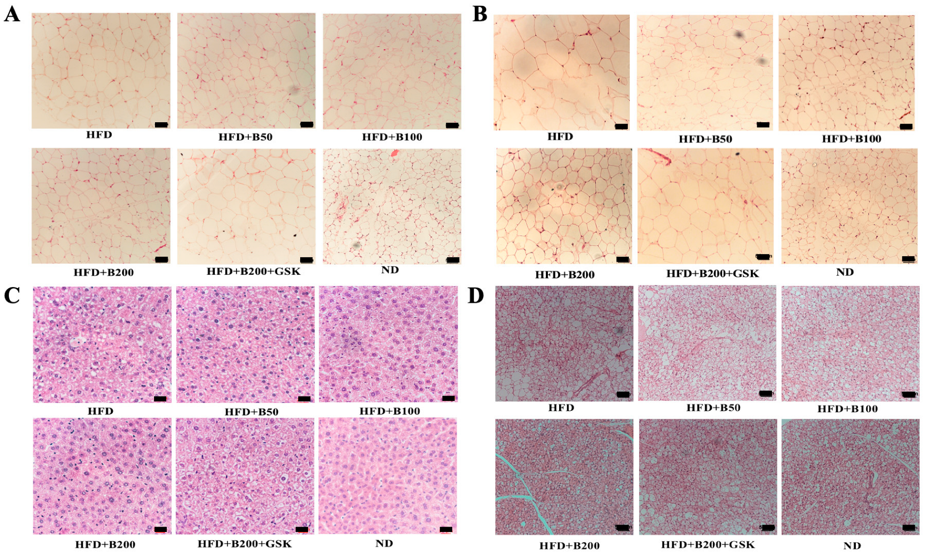 Ijms 24 11600 g004 Ijms 24 11600 g004