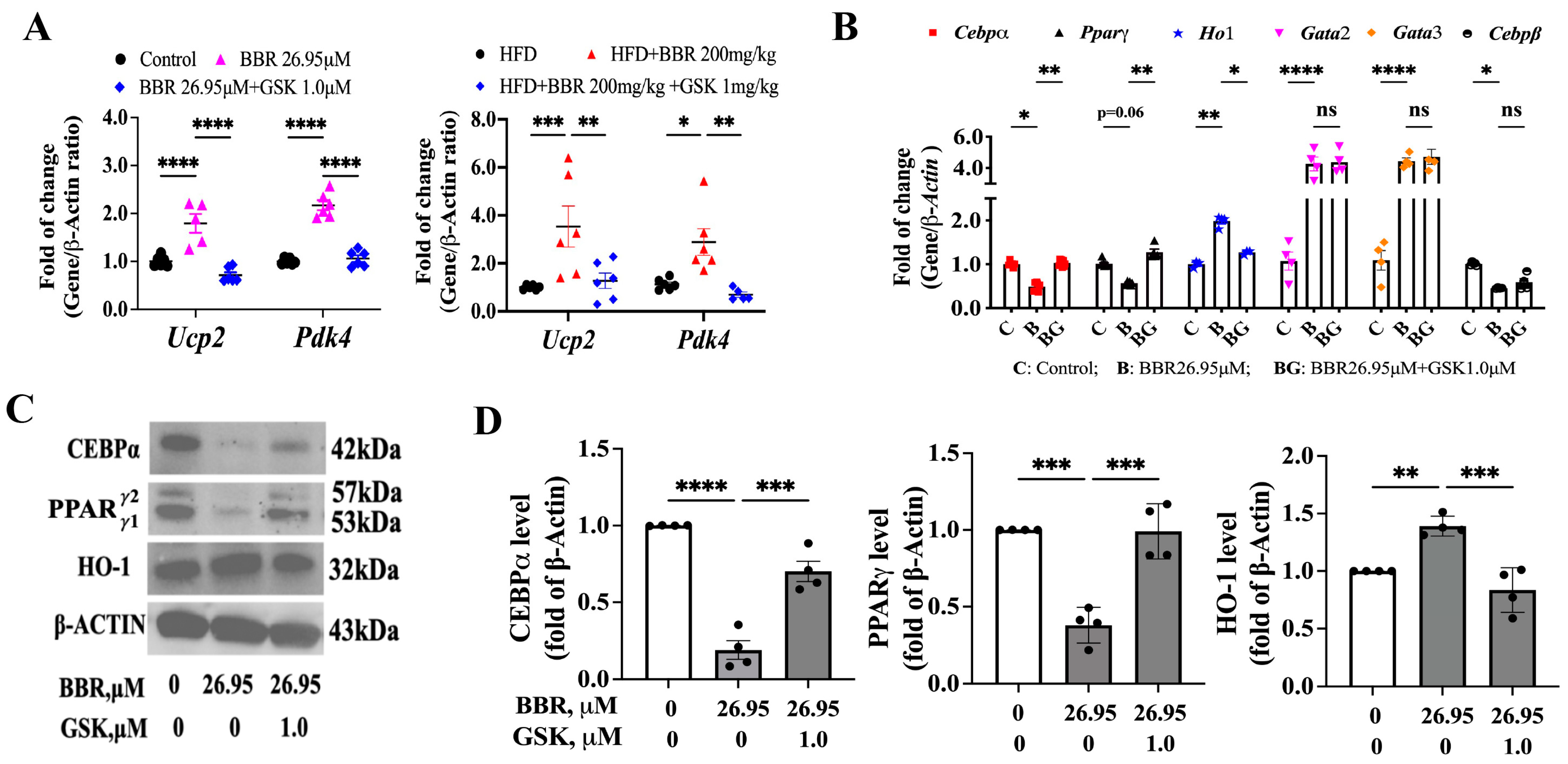 Ijms 24 11600 g006 Ijms 24 11600 g006