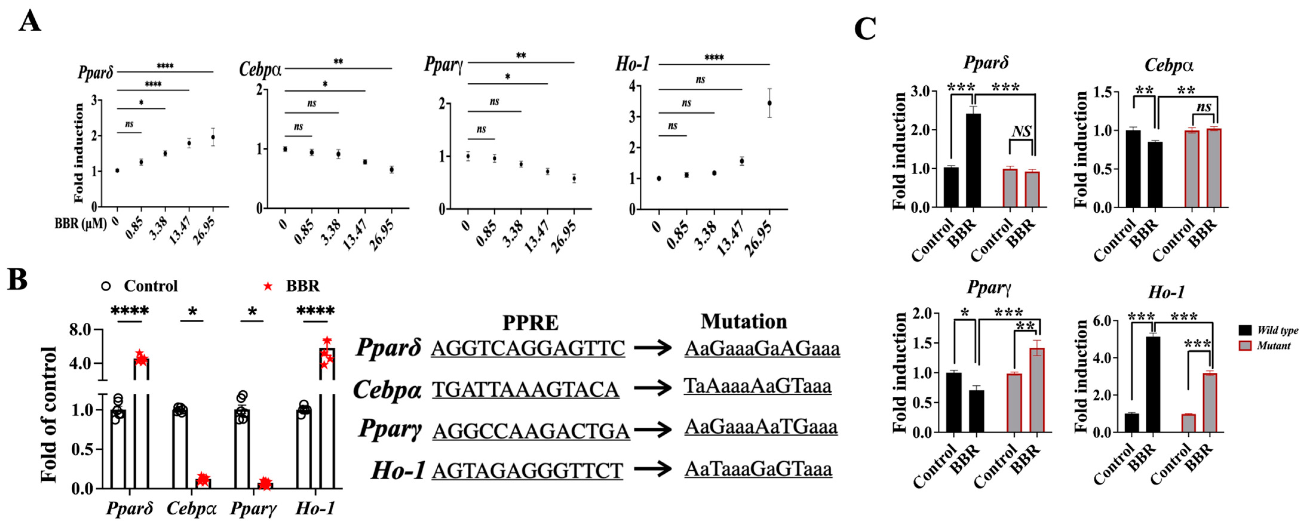 Ijms 24 11600 g008 Ijms 24 11600 g008
