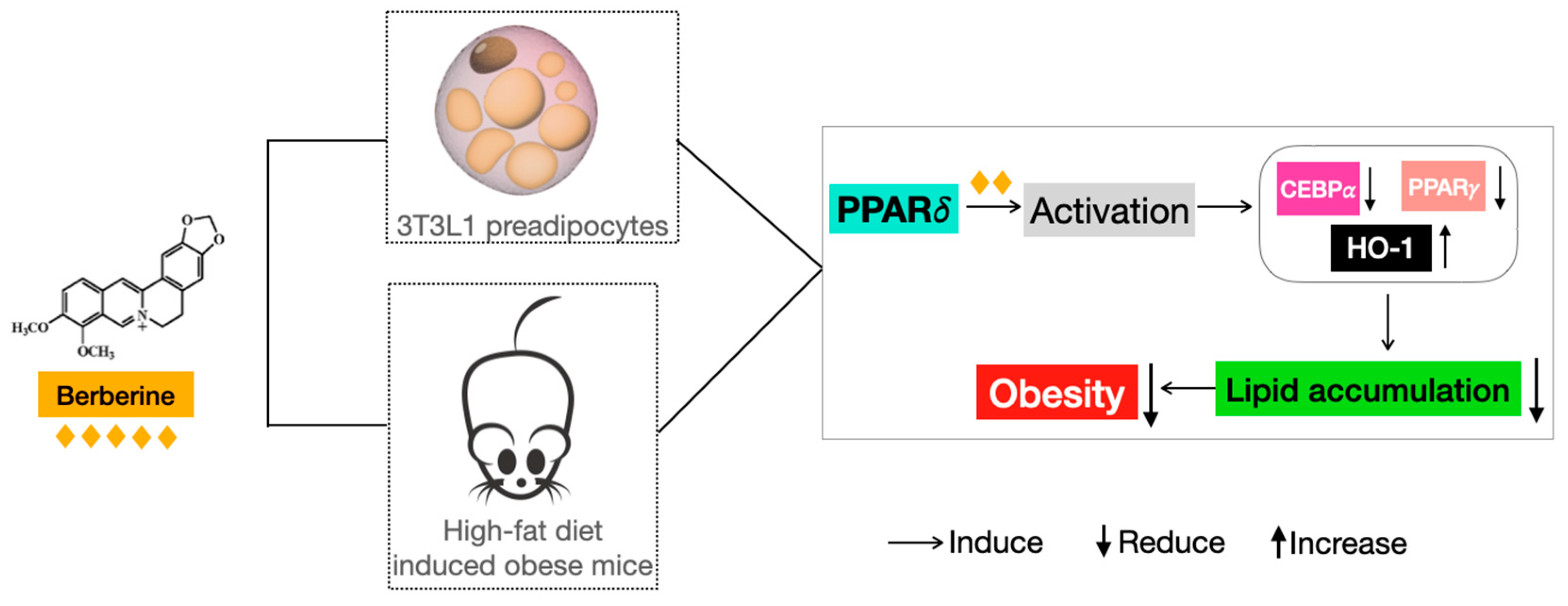 Ijms 24 11600 g009 Ijms 24 11600 g009