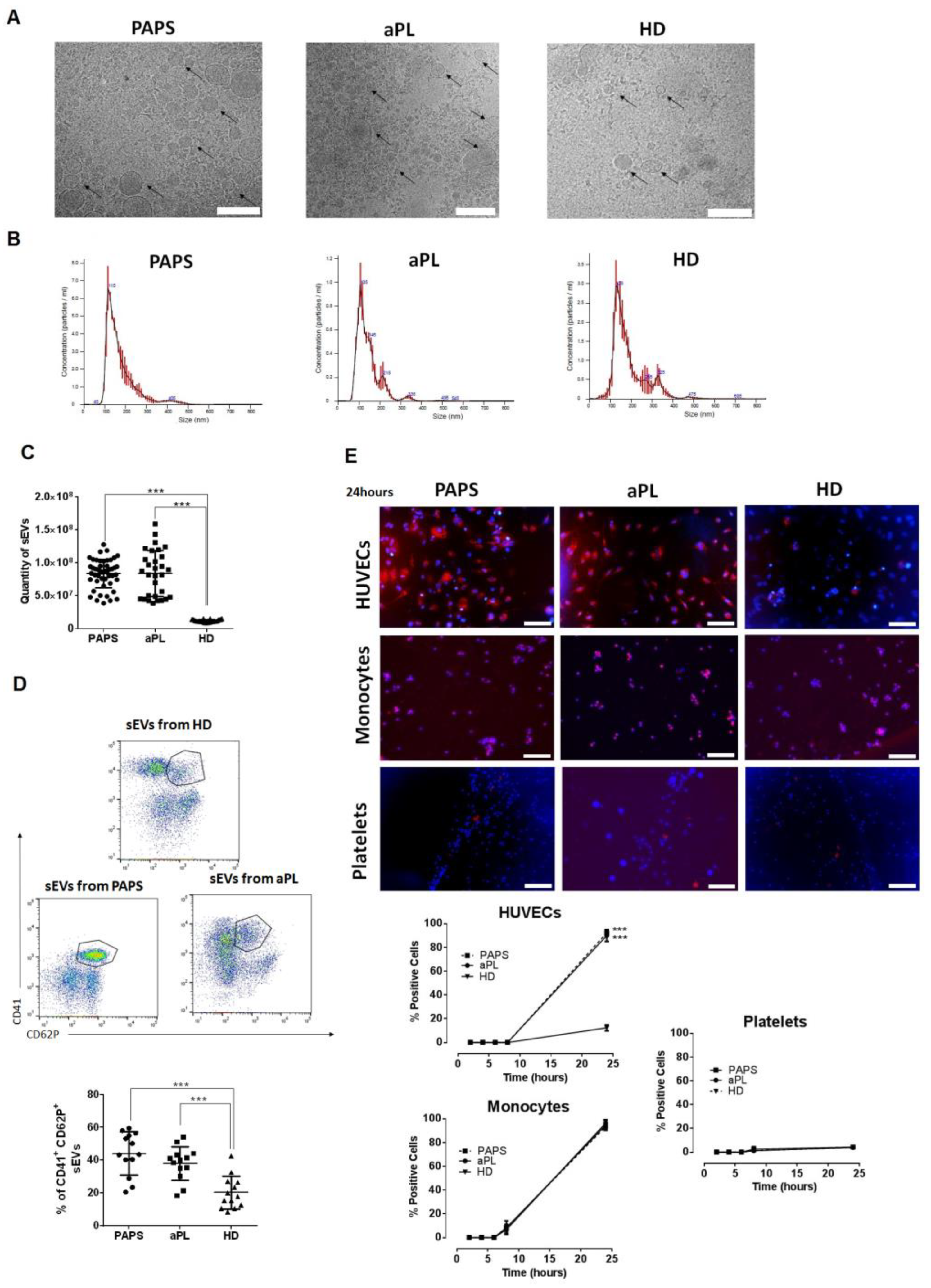 Ijms 24 11607 g001 Ijms 24 11607 g001