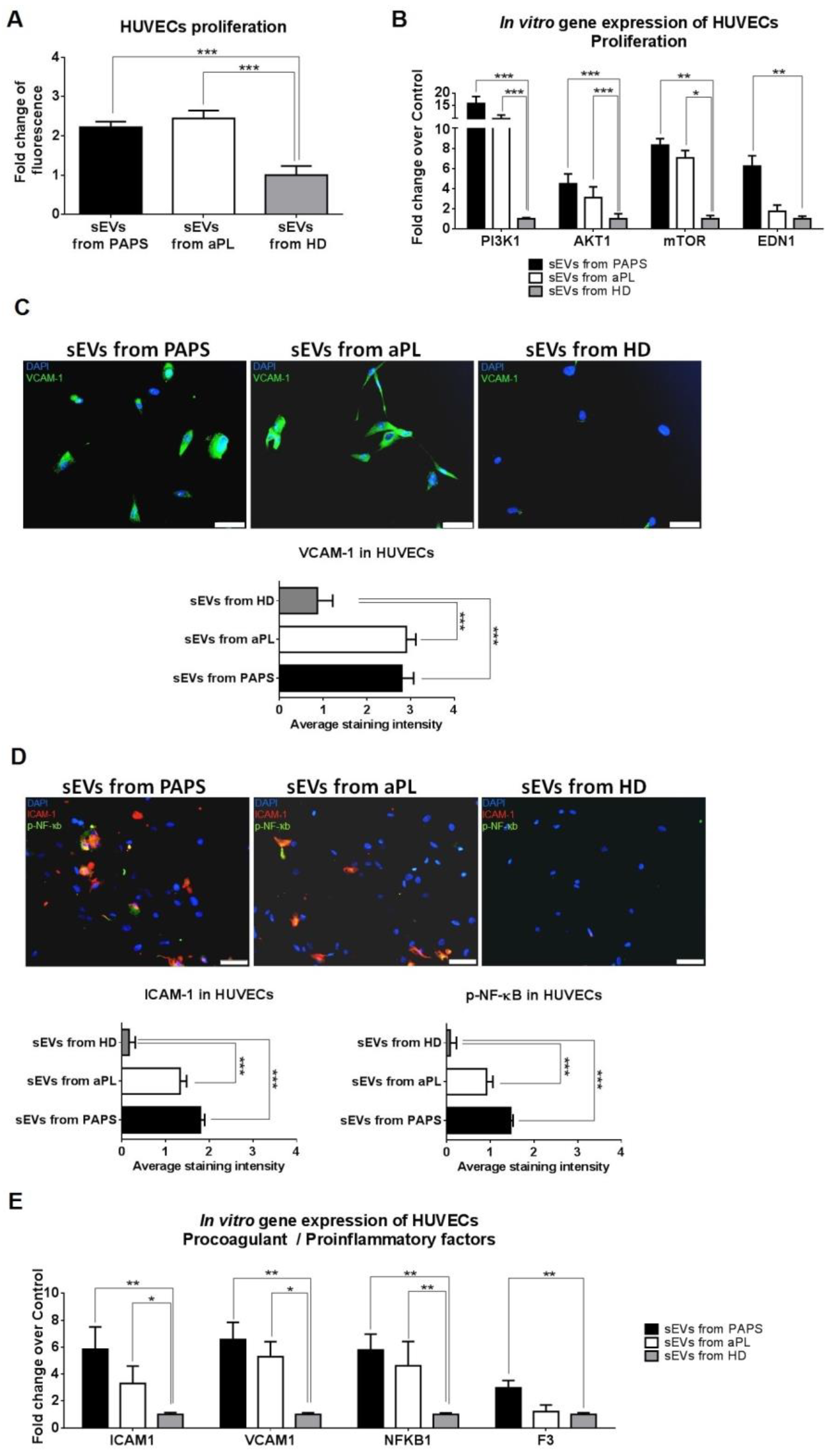 Ijms 24 11607 g002 Ijms 24 11607 g002