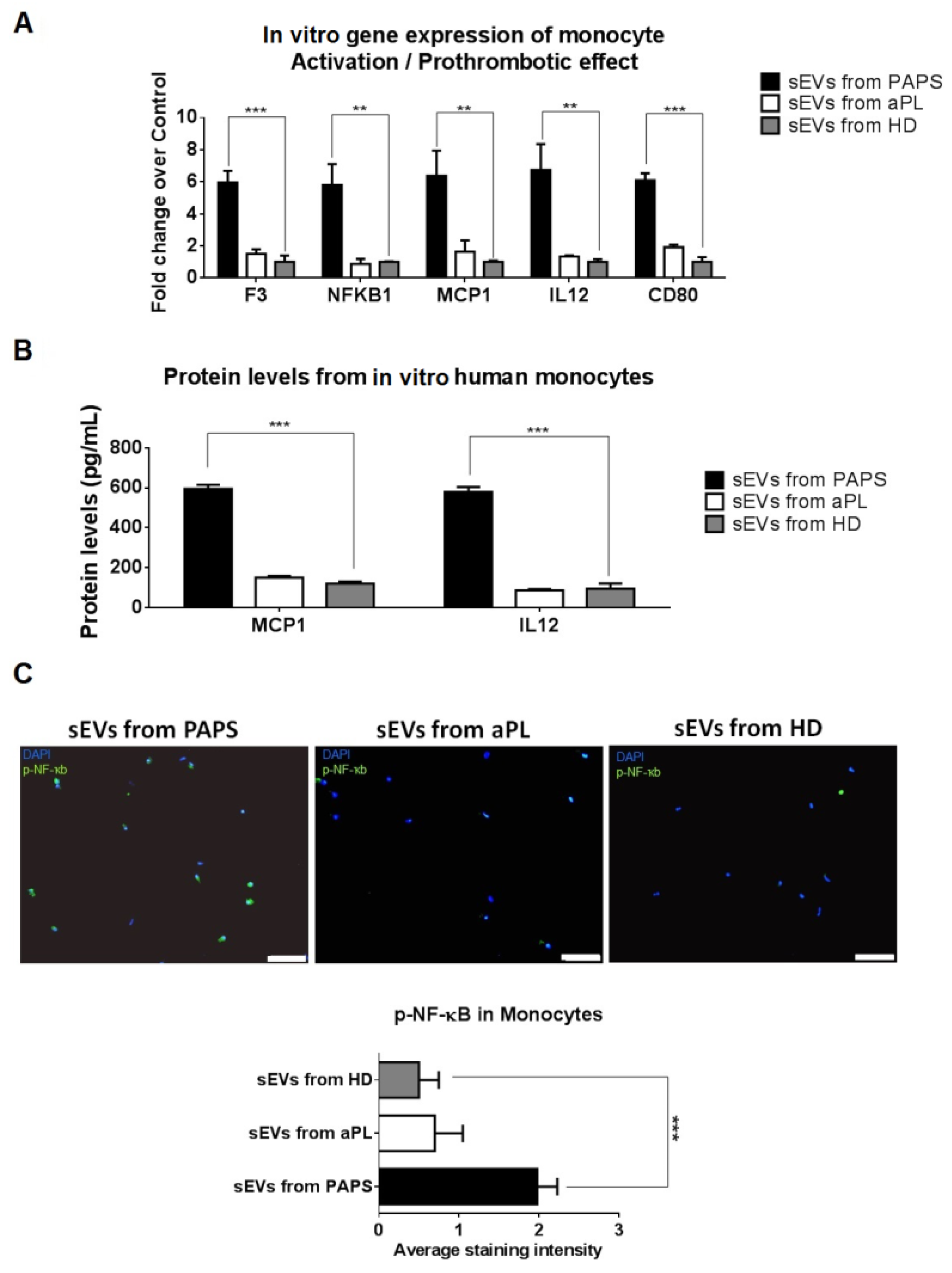 Ijms 24 11607 g003 Ijms 24 11607 g003