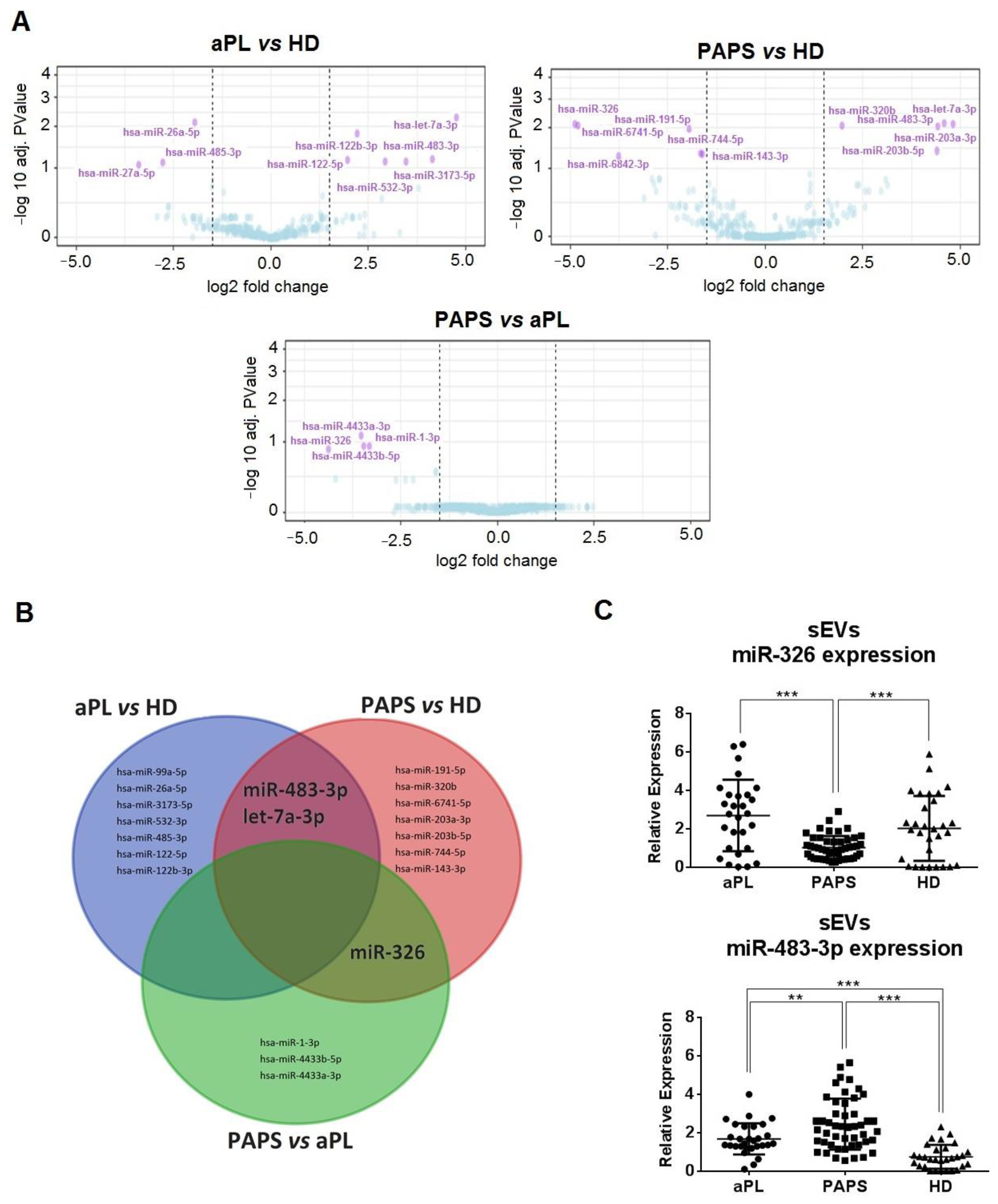Ijms 24 11607 g004 Ijms 24 11607 g004