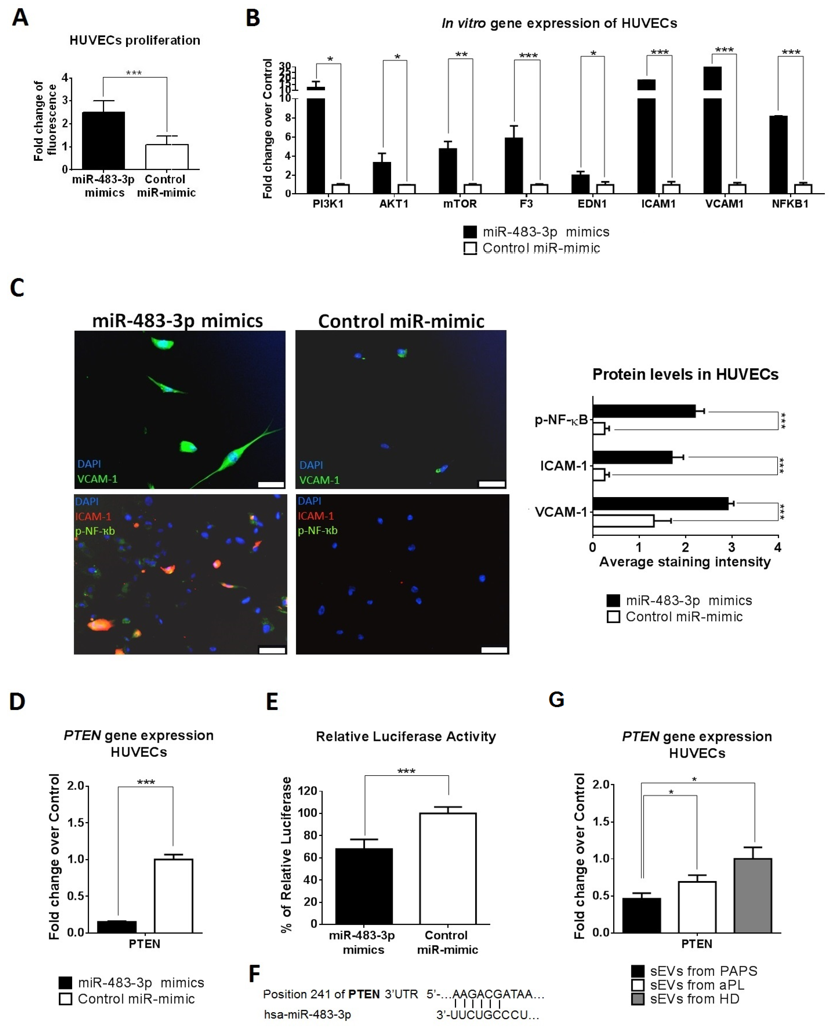 Ijms 24 11607 g005 Ijms 24 11607 g005