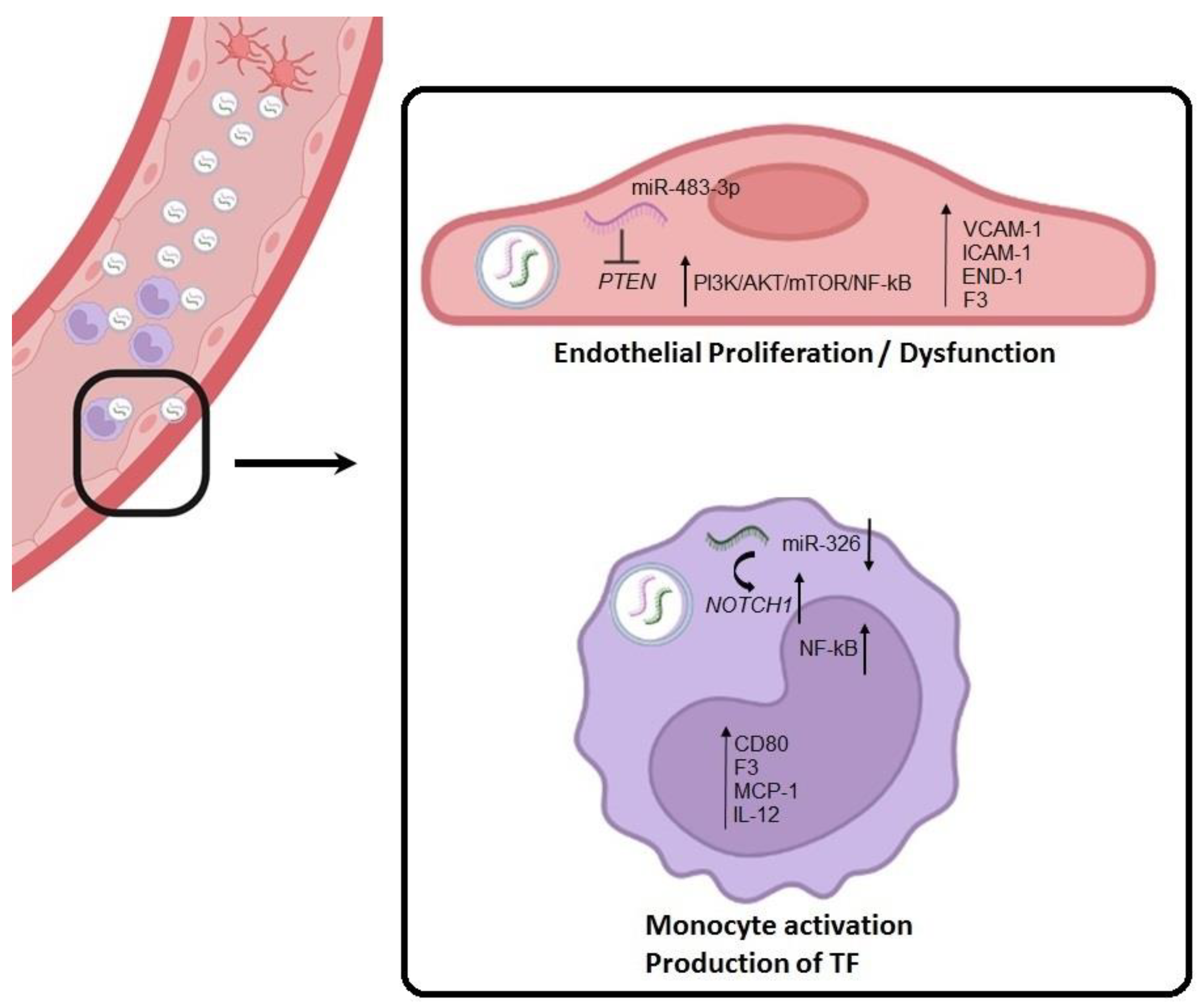 Ijms 24 11607 g007 Ijms 24 11607 g007