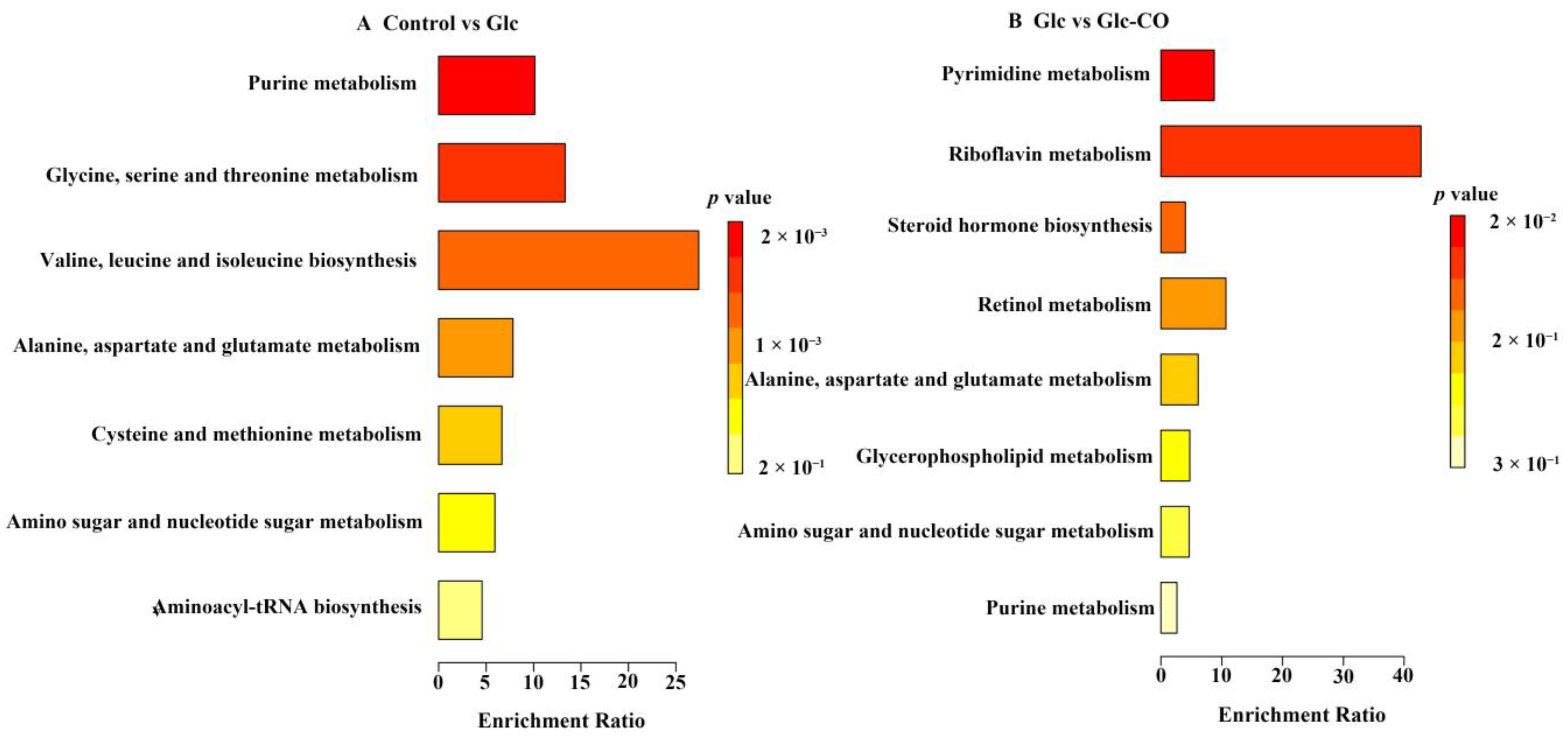 Ijms 24 11615 g008 Ijms 24 11615 g008