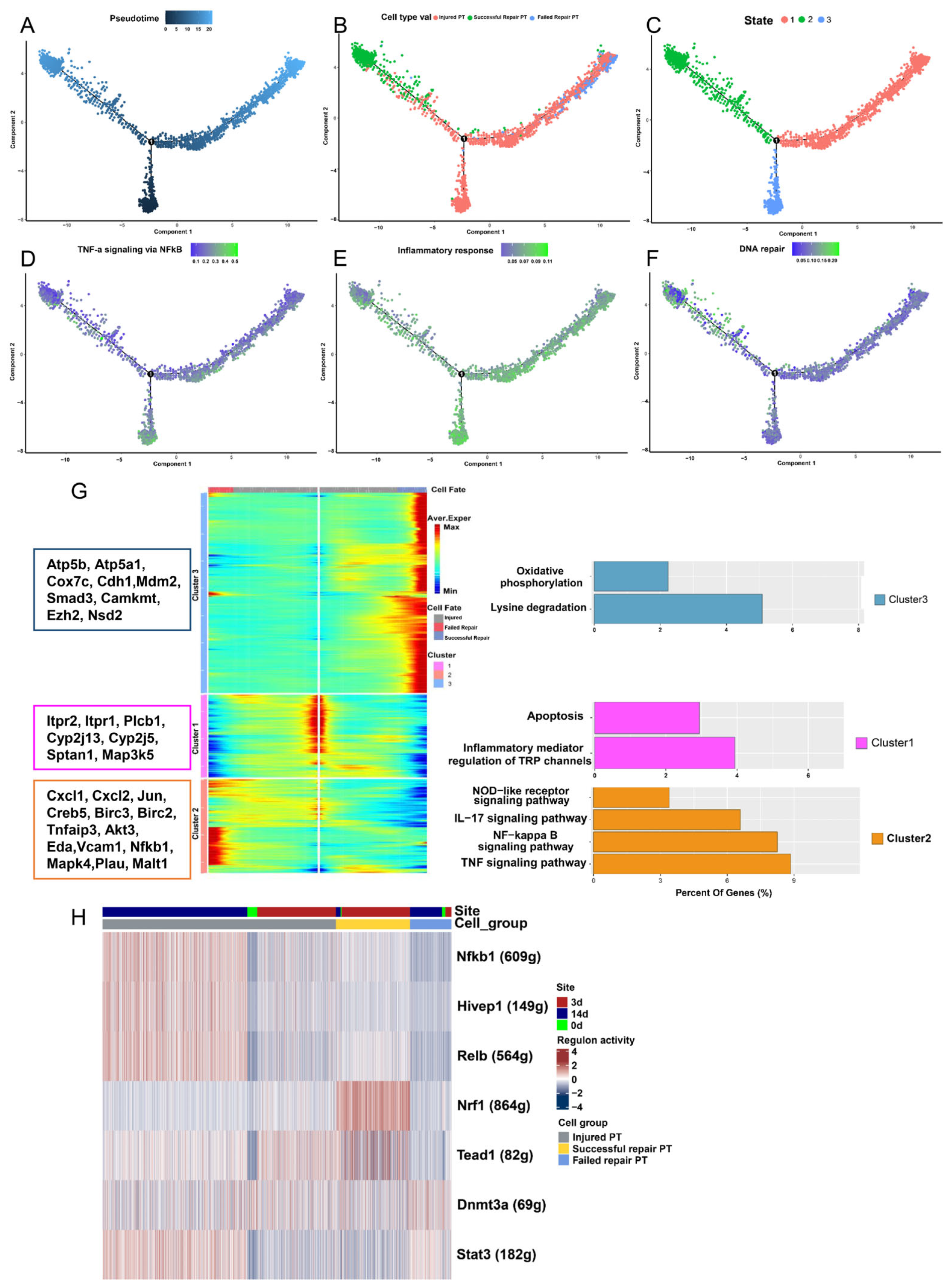 Ijms 24 11617 g003 Ijms 24 11617 g003