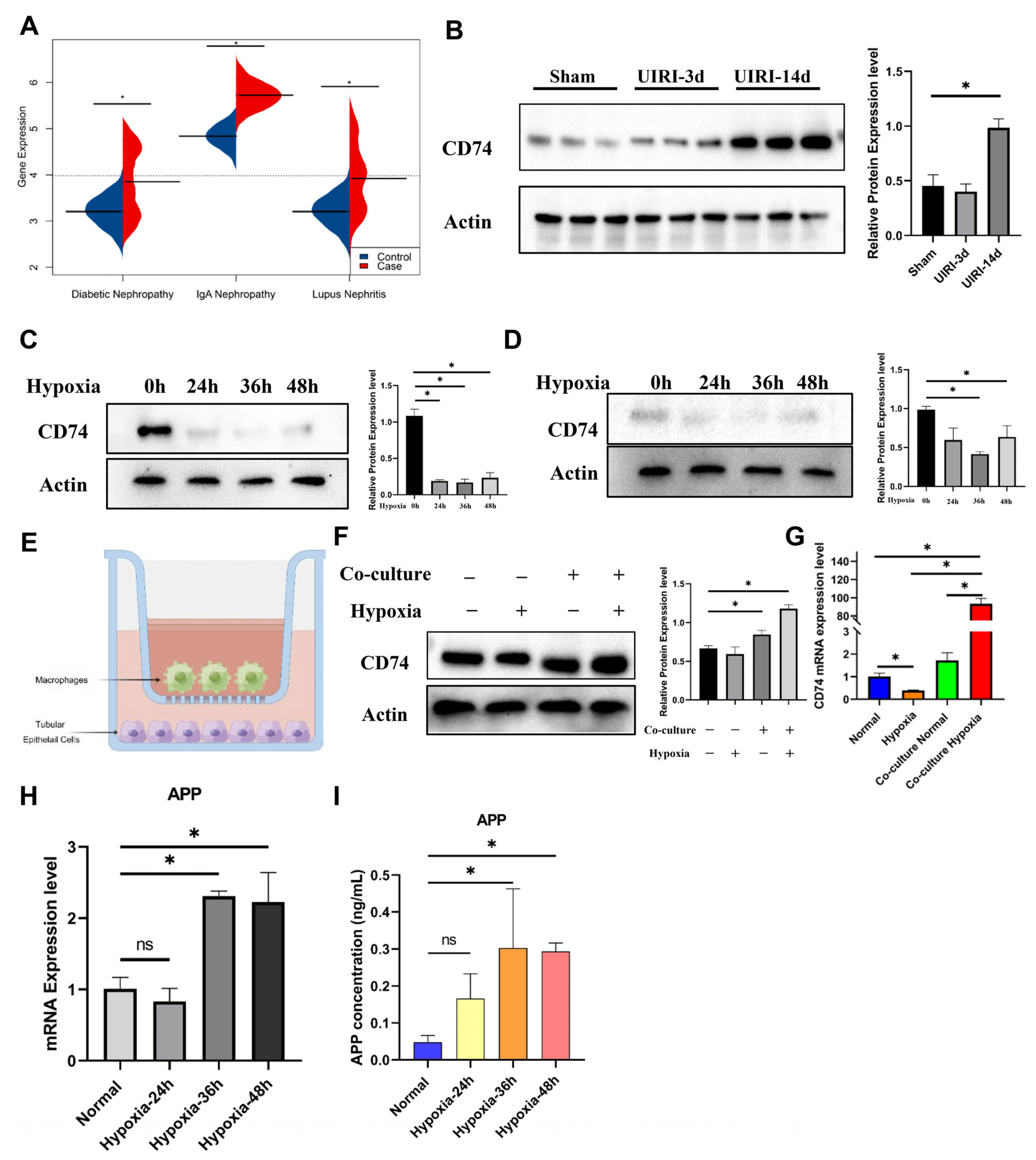 Ijms 24 11617 g008 Ijms 24 11617 g008