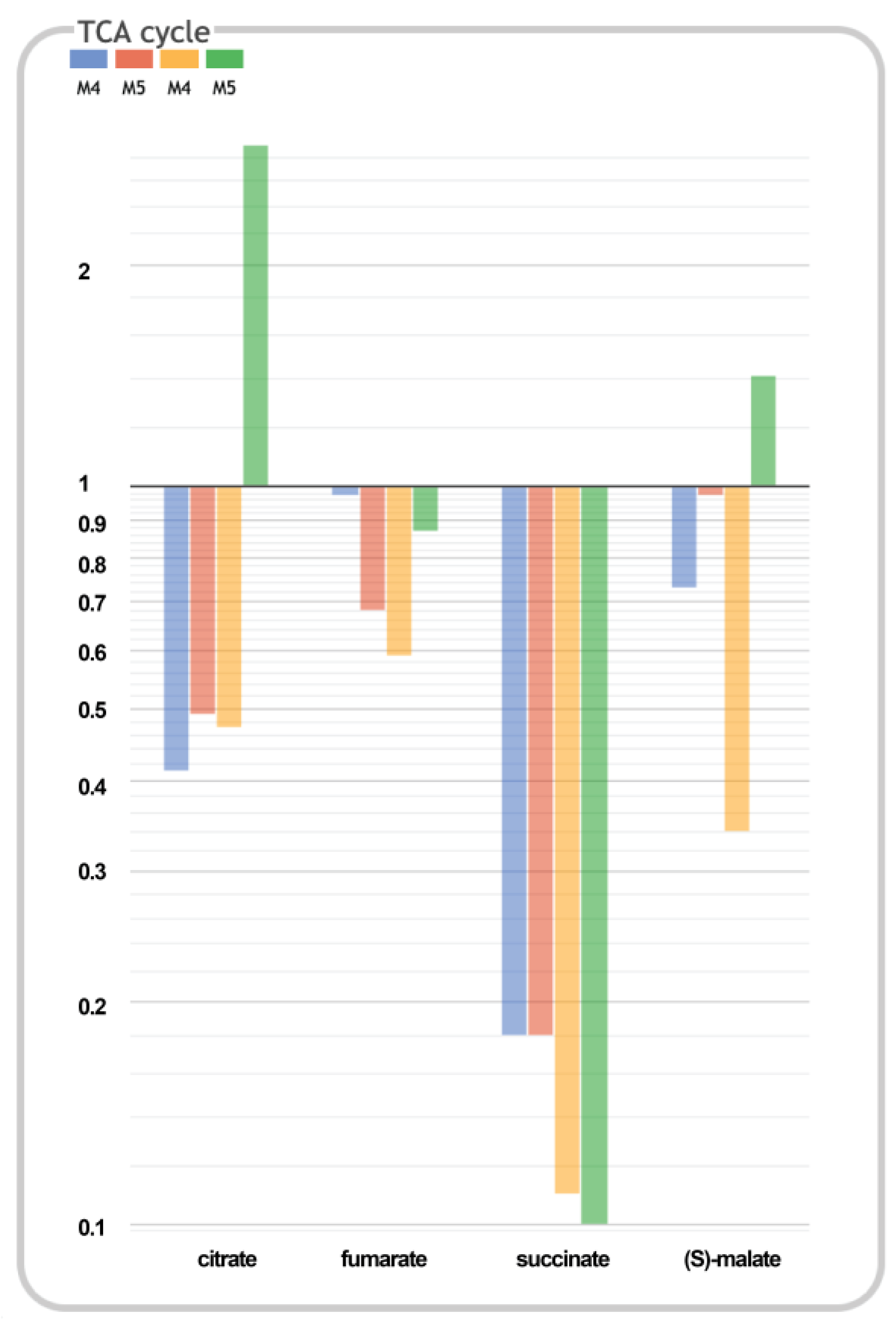 Ijms 24 11619 g004 Ijms 24 11619 g004
