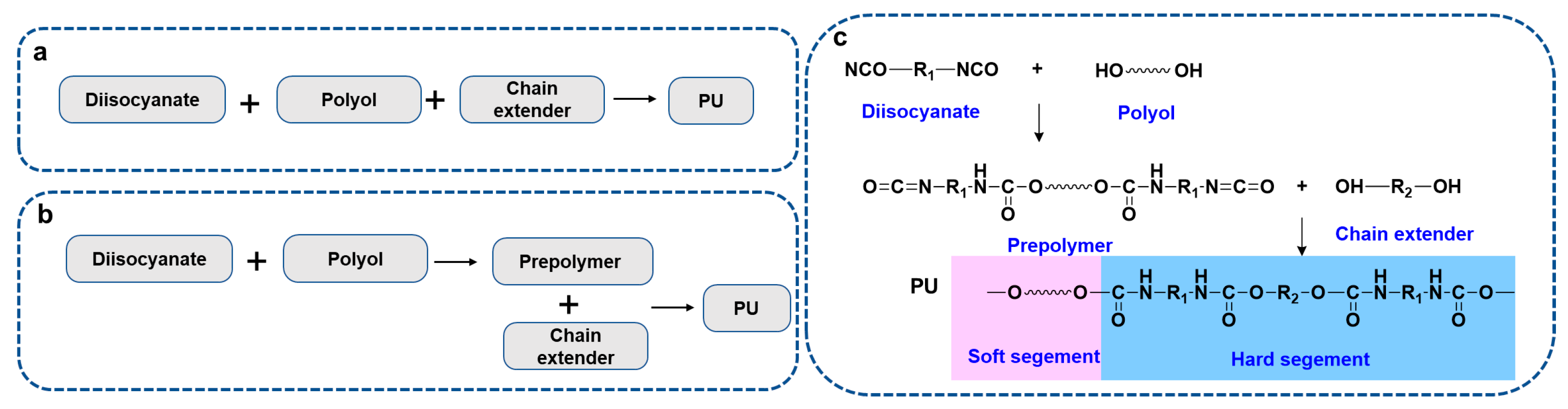 Ijms 24 11627 g001 Ijms 24 11627 g001