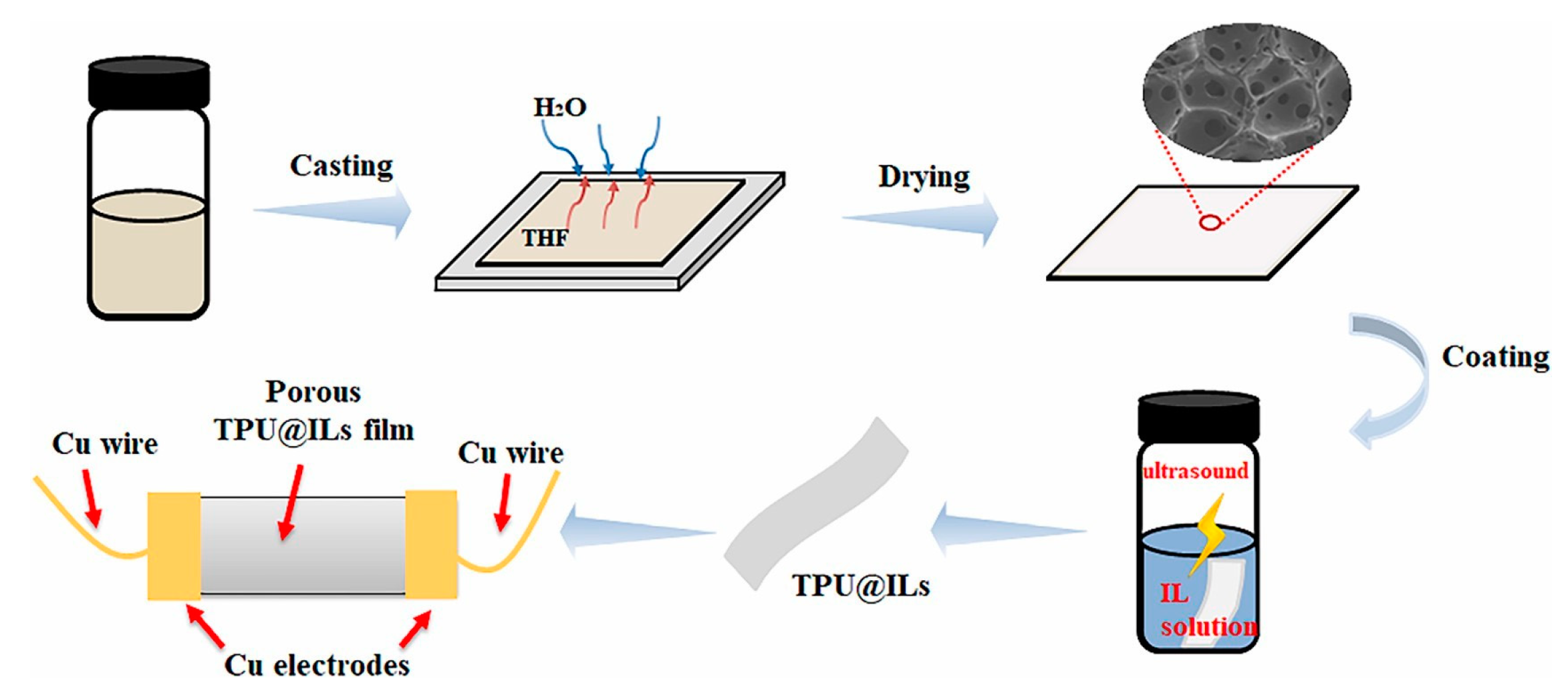 Ijms 24 11627 g005 Ijms 24 11627 g005