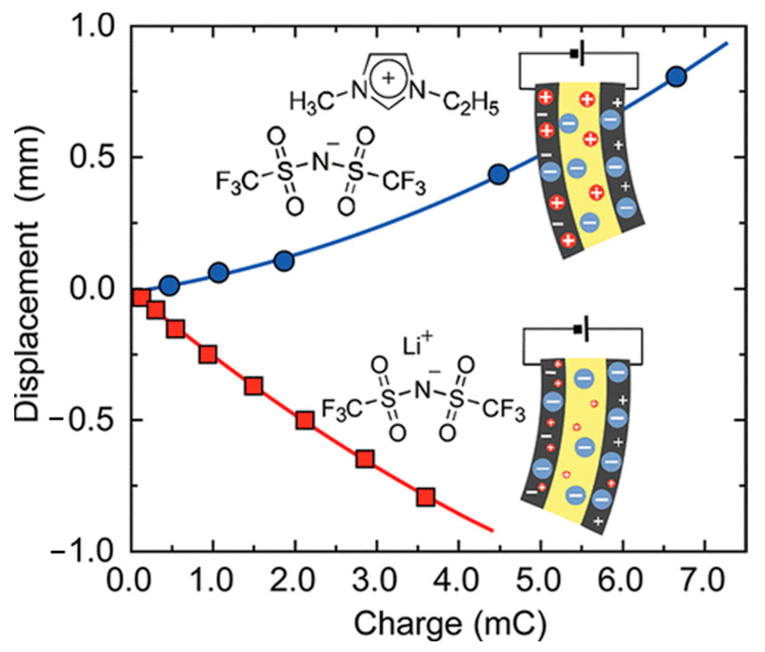 Ijms 24 11627 g006 Ijms 24 11627 g006