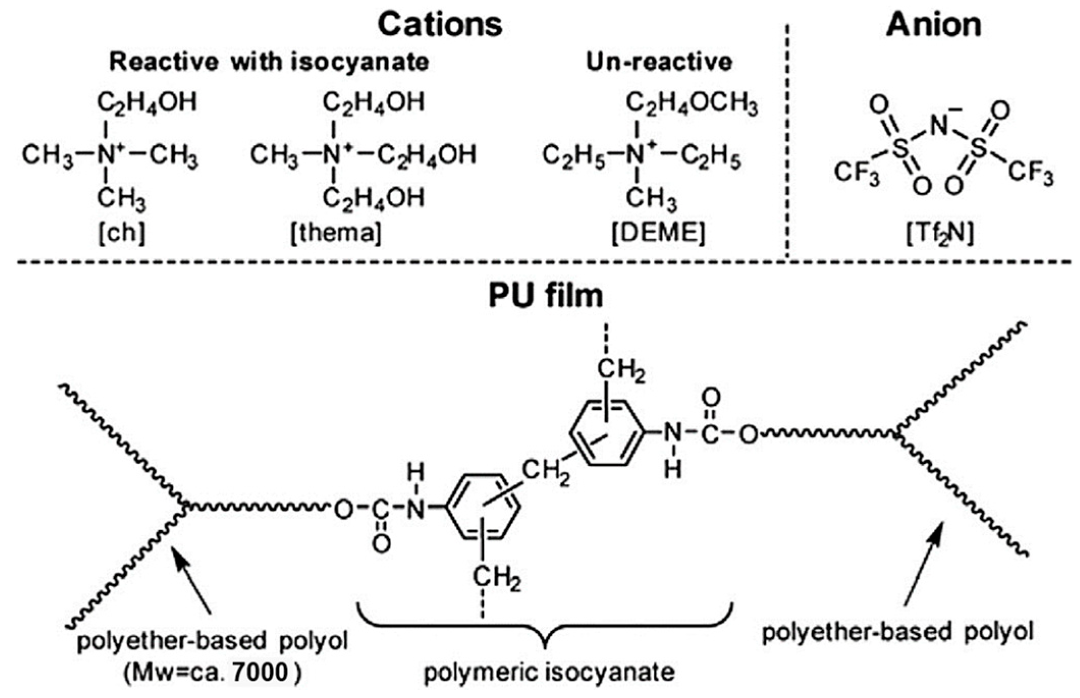 Ijms 24 11627 g008 Ijms 24 11627 g008