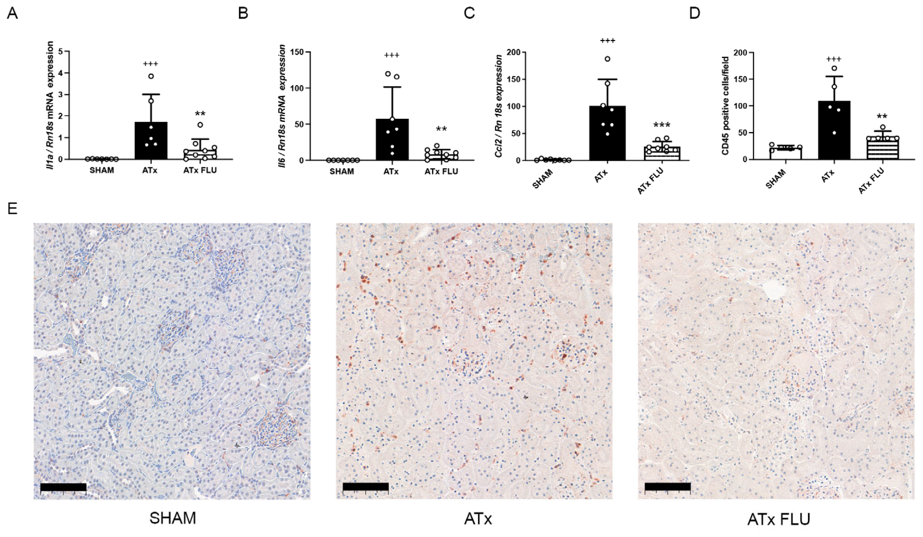 Ijms 24 11630 g002 Ijms 24 11630 g002