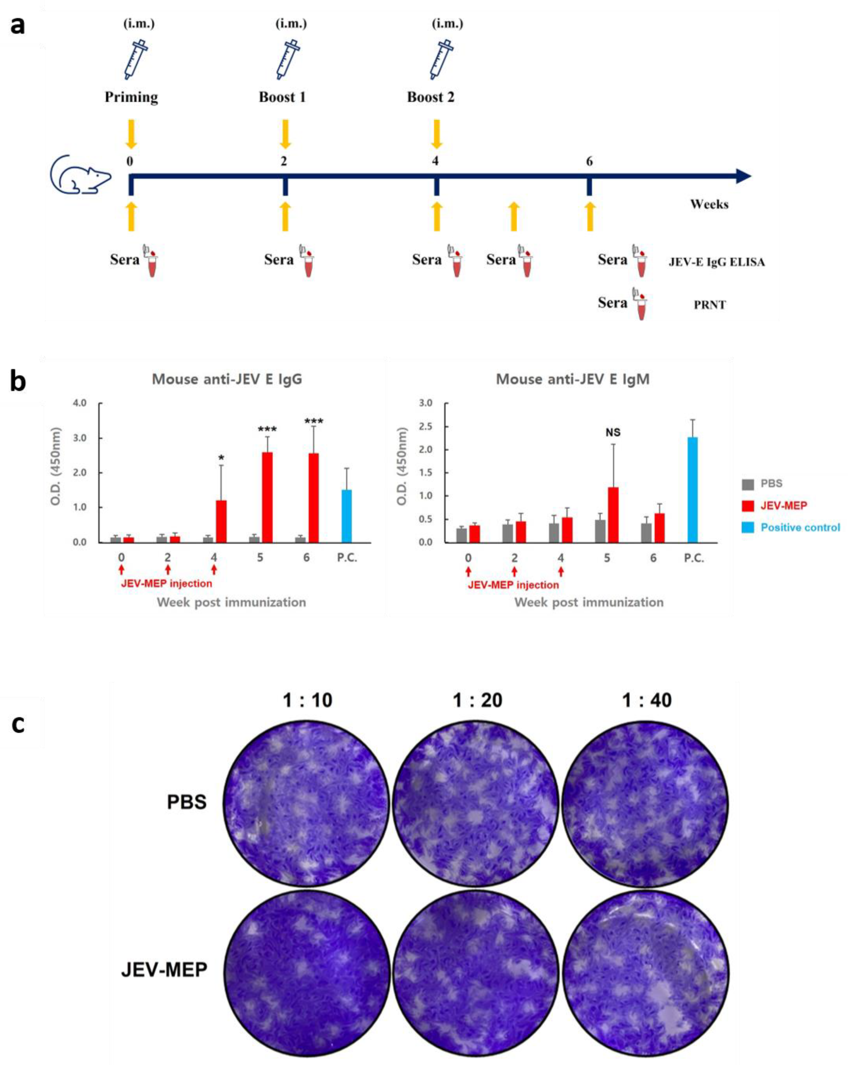 Ijms 24 11643 g004 Ijms 24 11643 g004