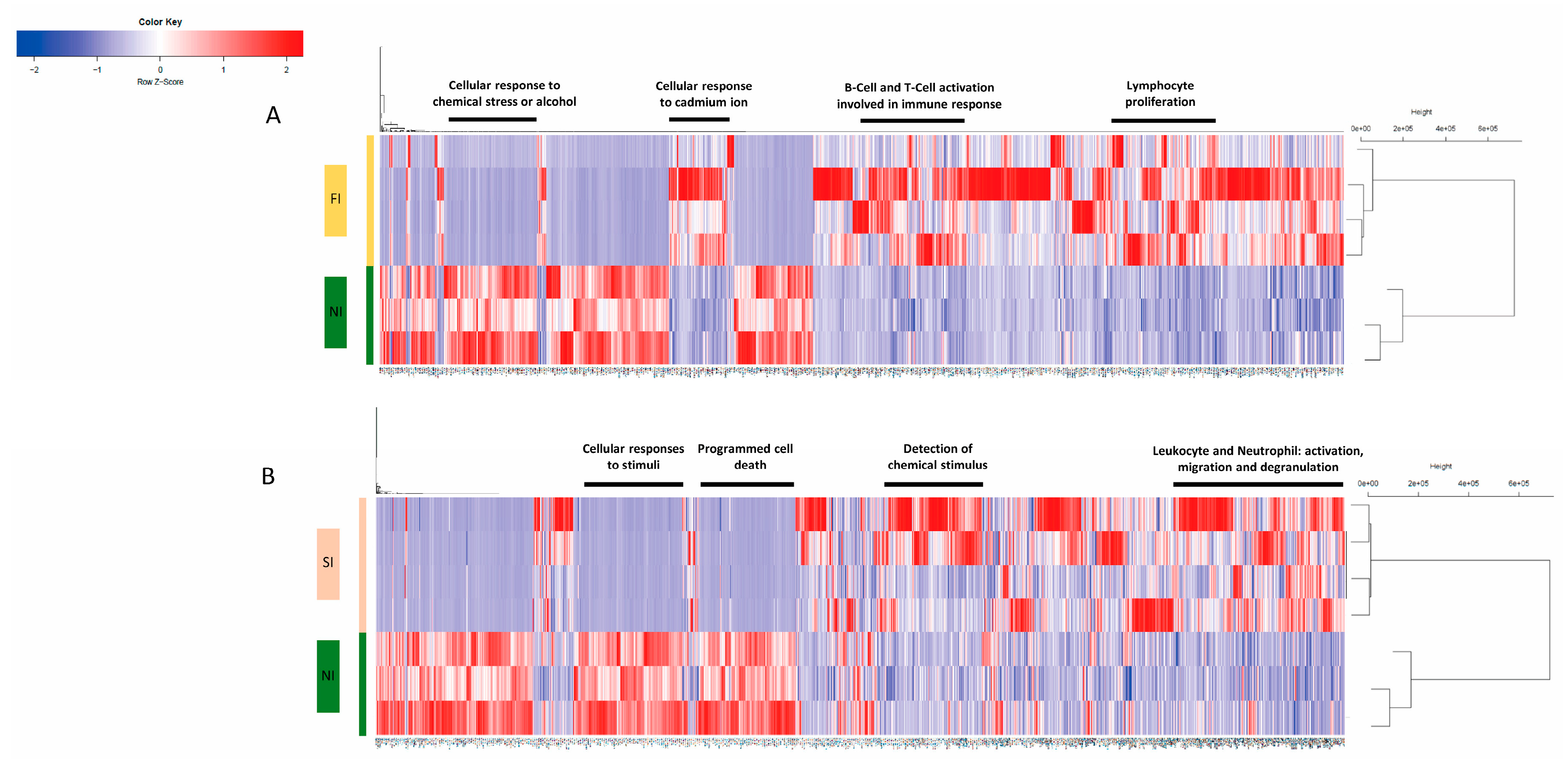 Ijms 24 11644 g001 Ijms 24 11644 g001