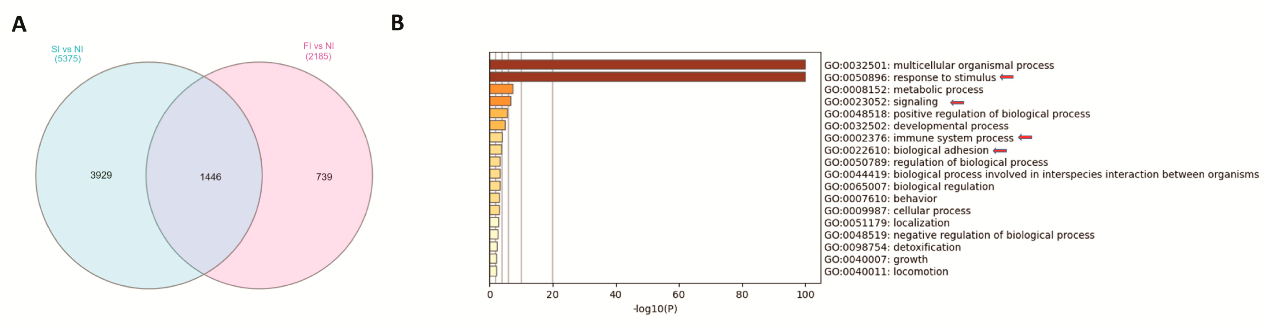 Ijms 24 11644 g004 Ijms 24 11644 g004