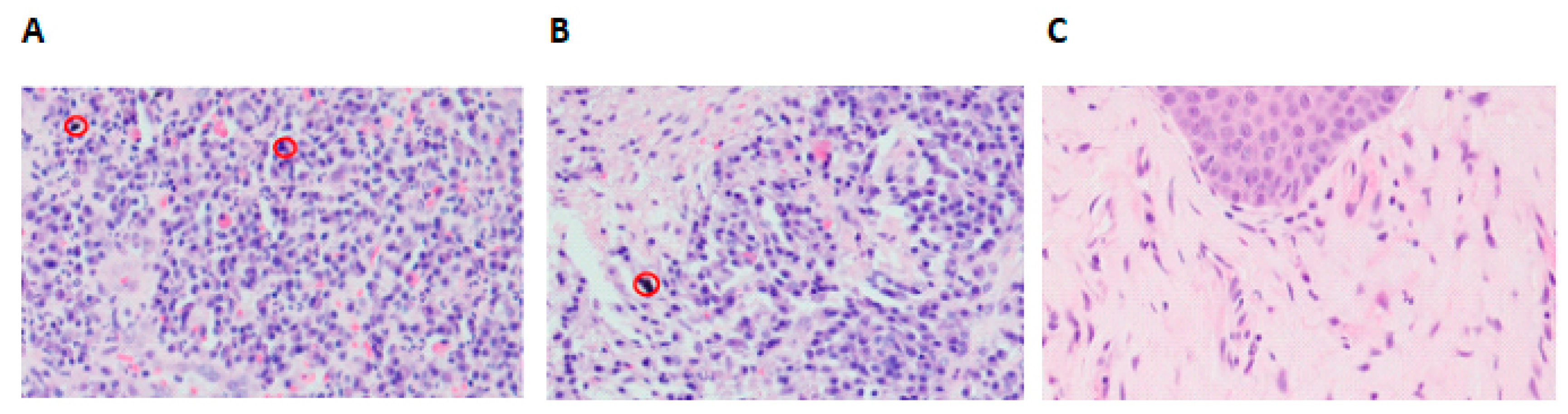 Ijms 24 11644 g005 Ijms 24 11644 g005