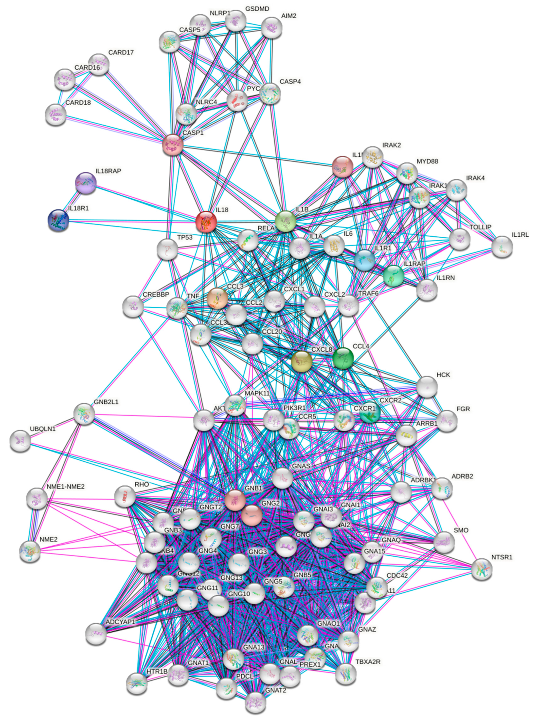 Ijms 24 11644 g008 Ijms 24 11644 g008