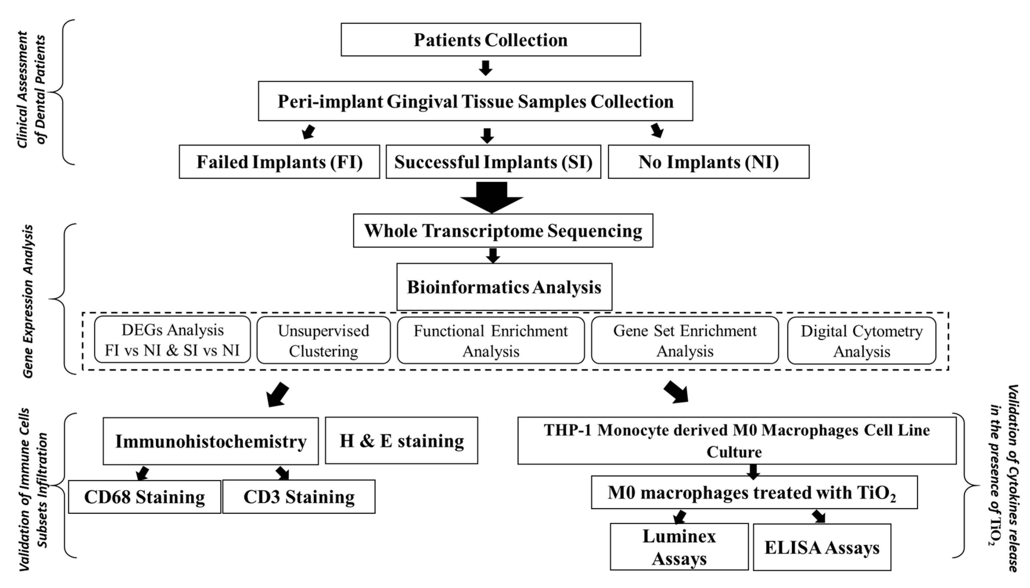 Ijms 24 11644 g010 Ijms 24 11644 g010