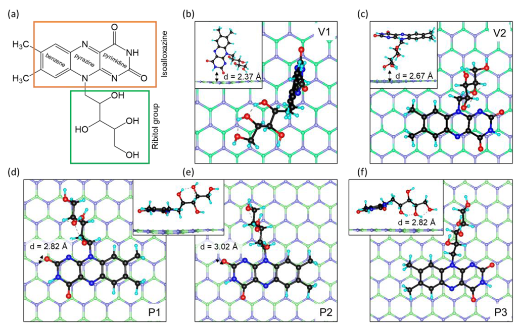 Ijms 24 11648 g001 Ijms 24 11648 g001