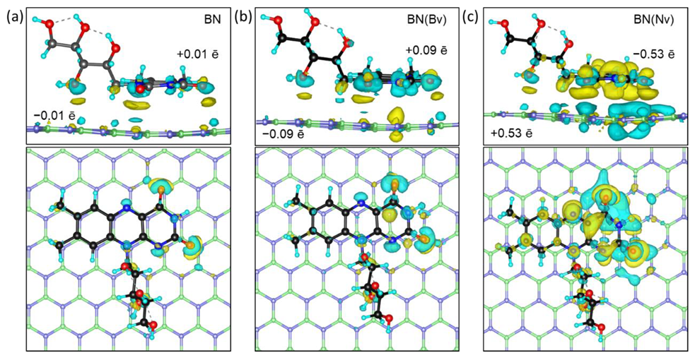 Ijms 24 11648 g002 Ijms 24 11648 g002