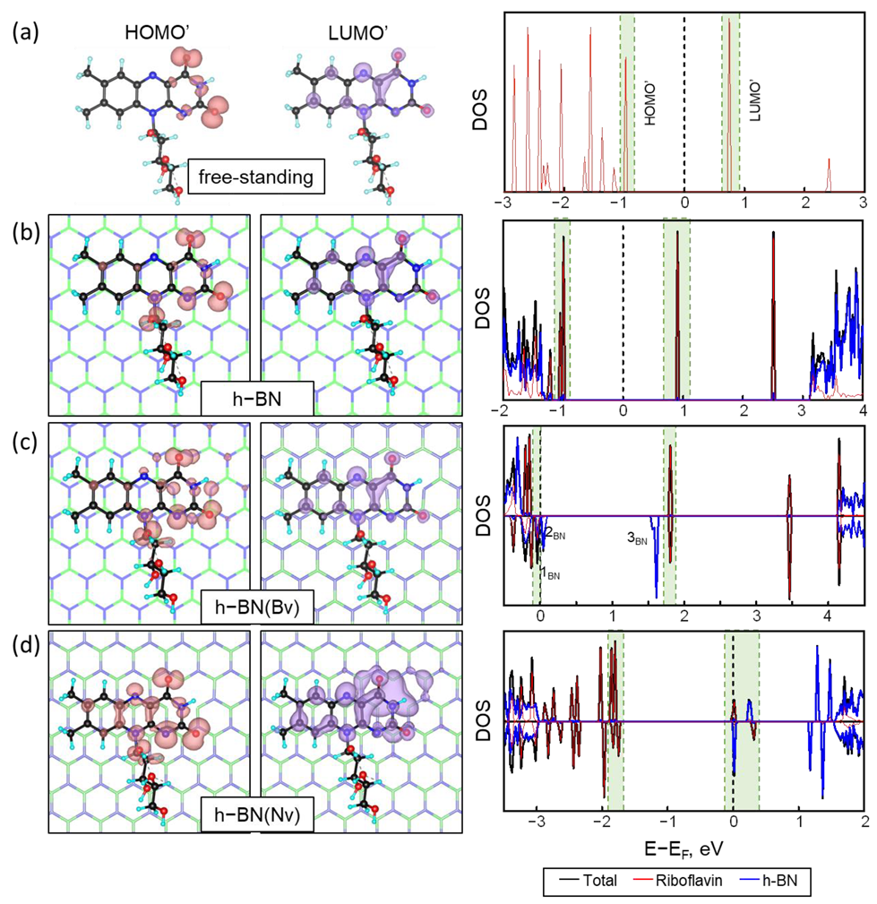 Ijms 24 11648 g003 Ijms 24 11648 g003